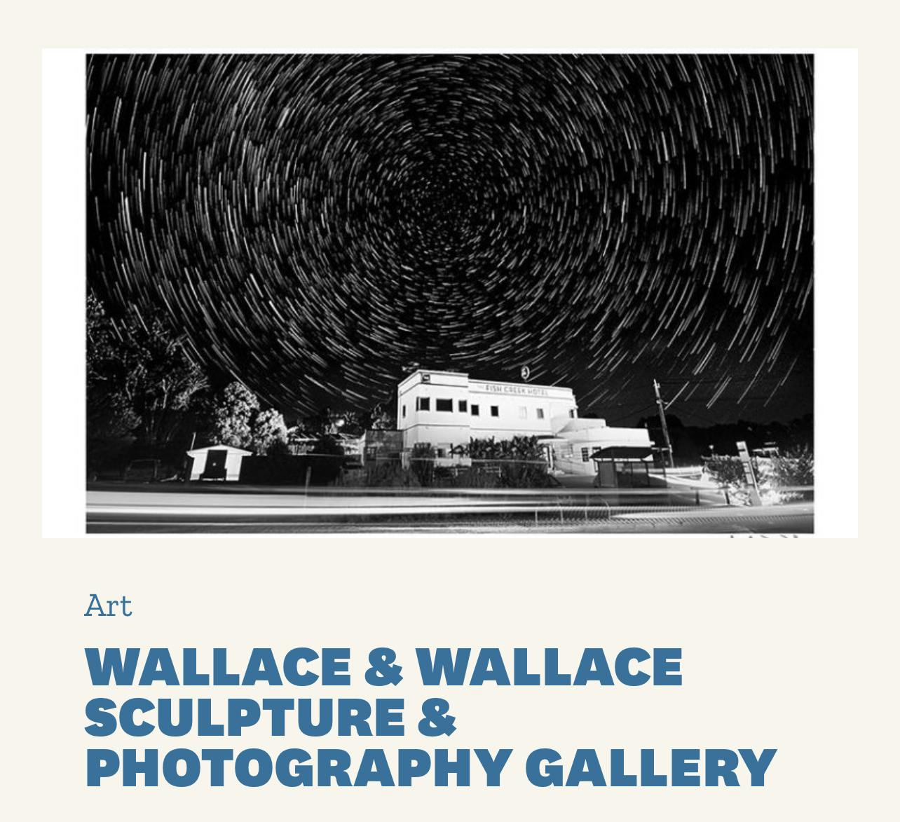 Wallace & Wallace Sculpture & Photography Gallery Fish Creek