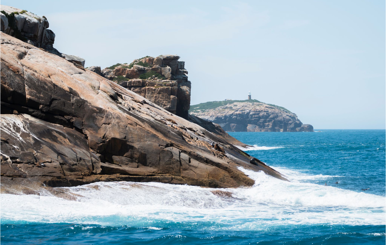 Tour Wilson’s Prom with Wildlife Coast Cruises
