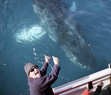 Excitement aboard Wildlife Coast Cruises Whale Cruise