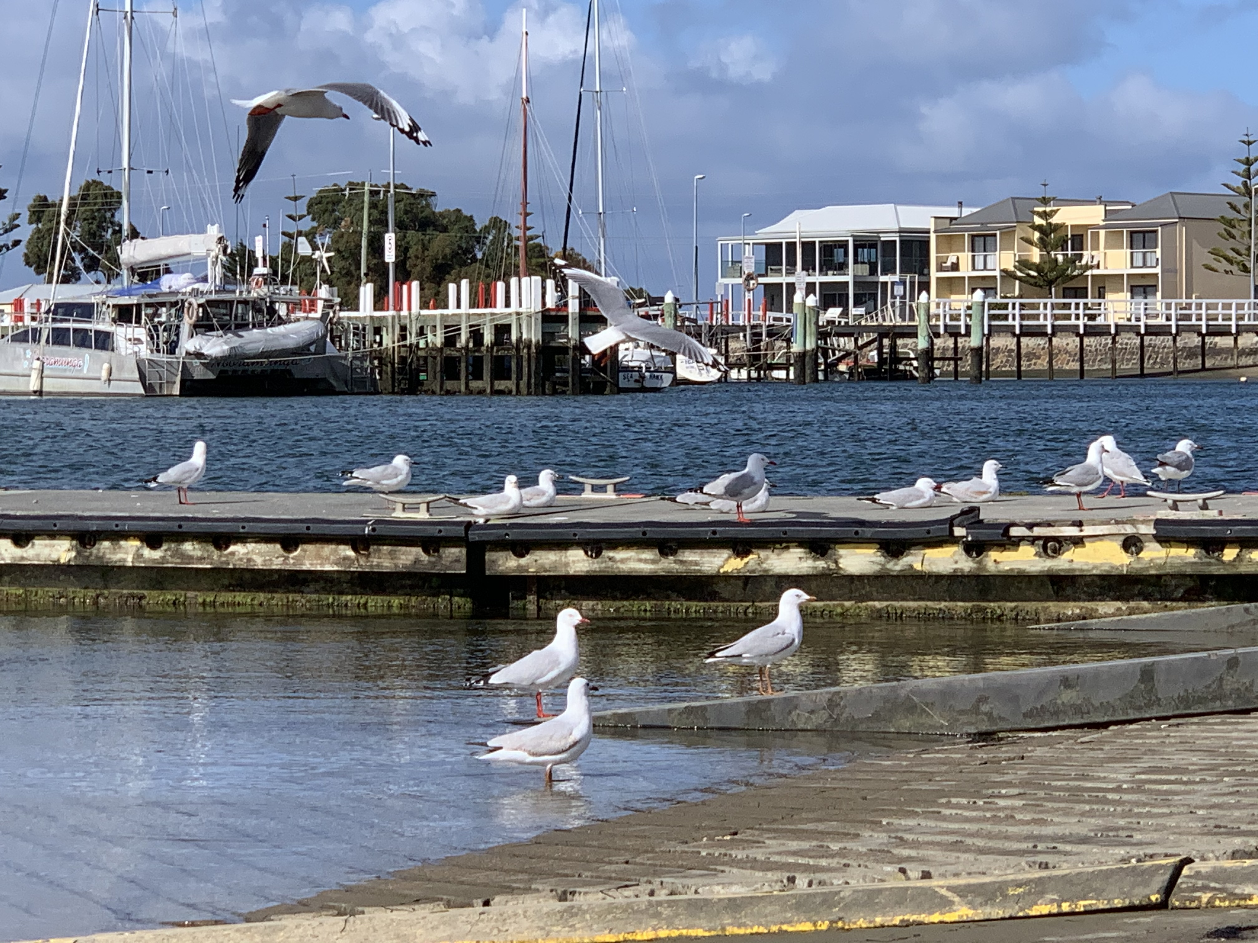 Port Albert boat ramp