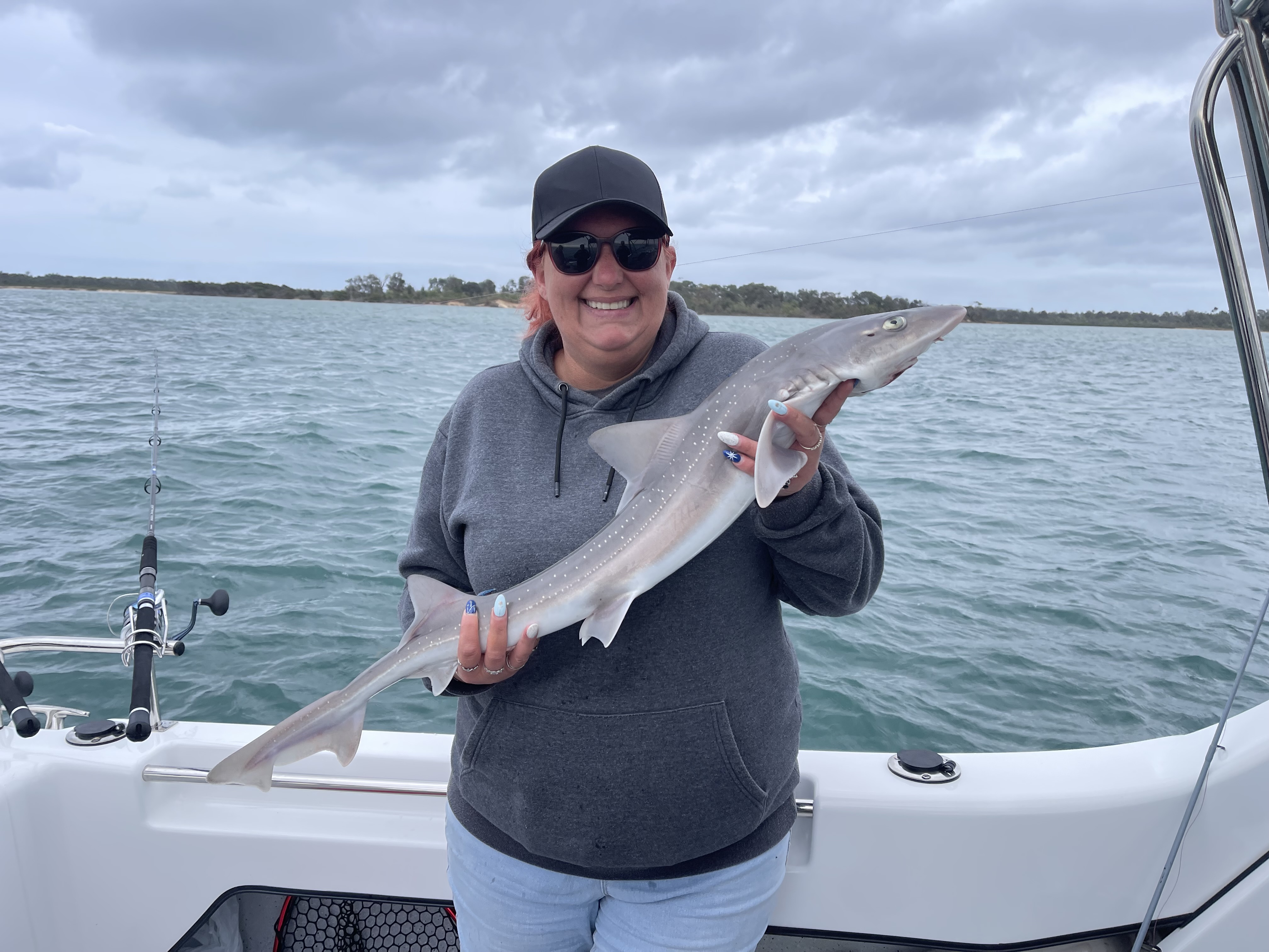 Fish for Gummy Shark