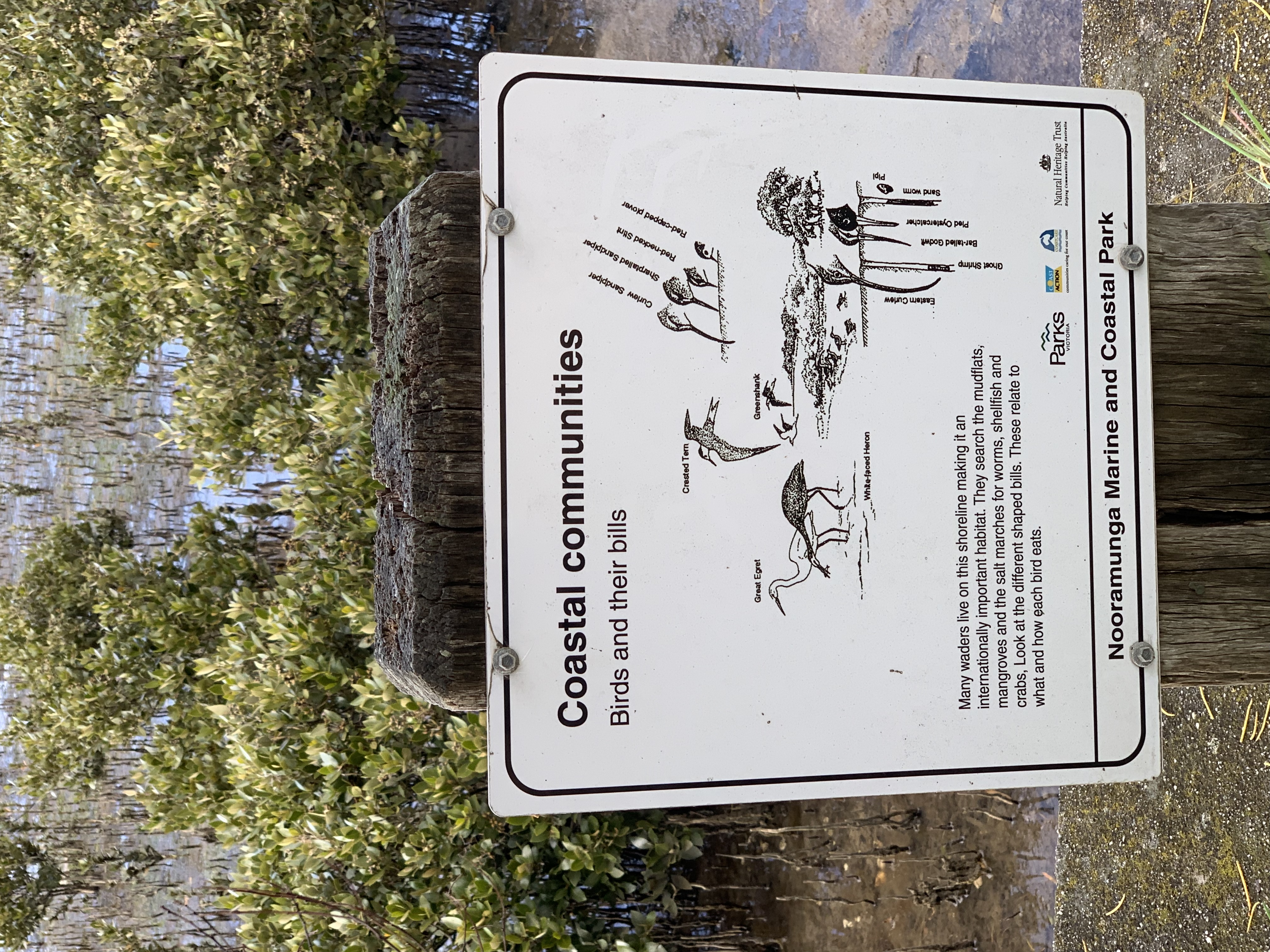 Old Port Walking Track