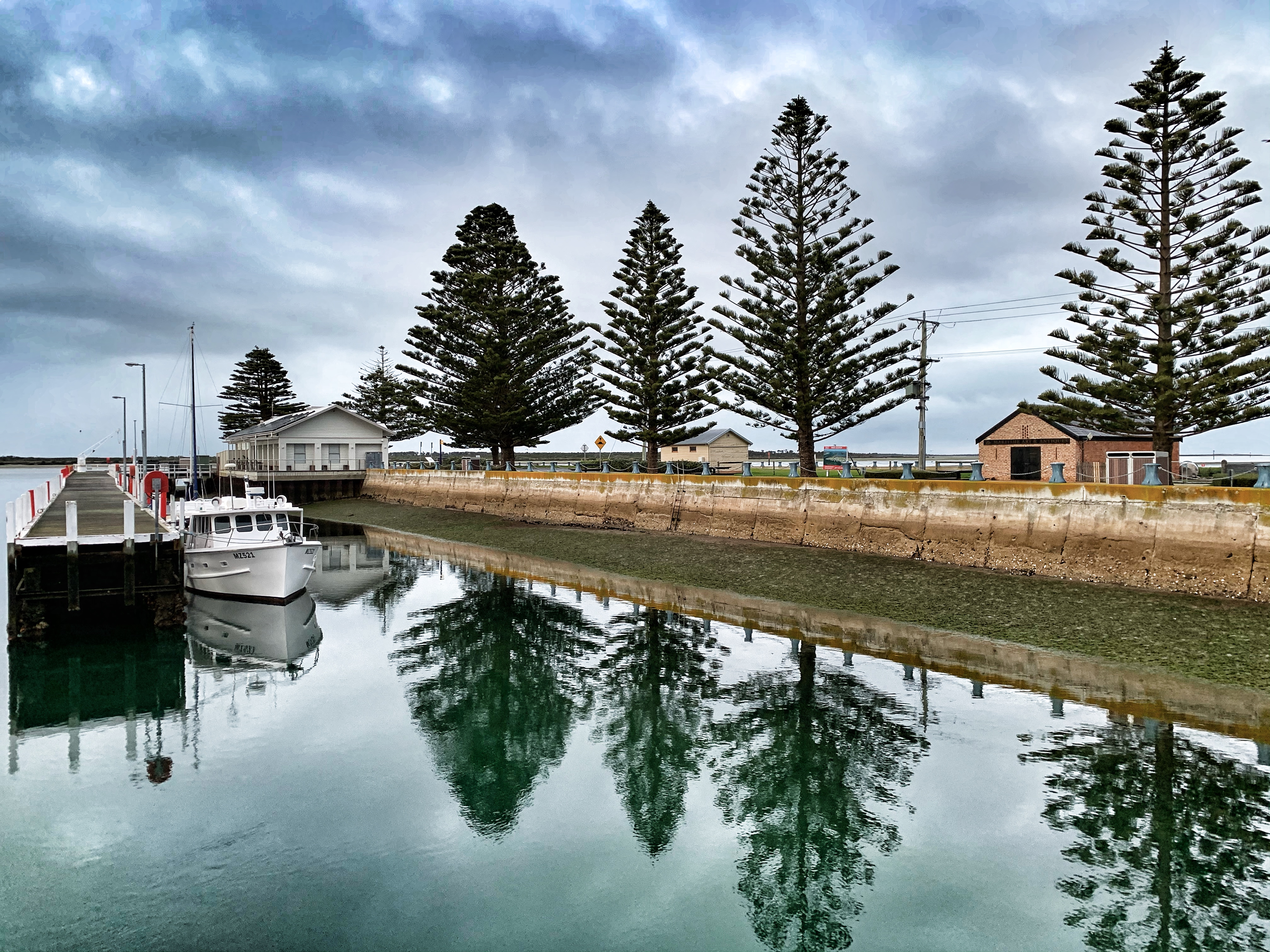 Norfolk pines line the harbour
