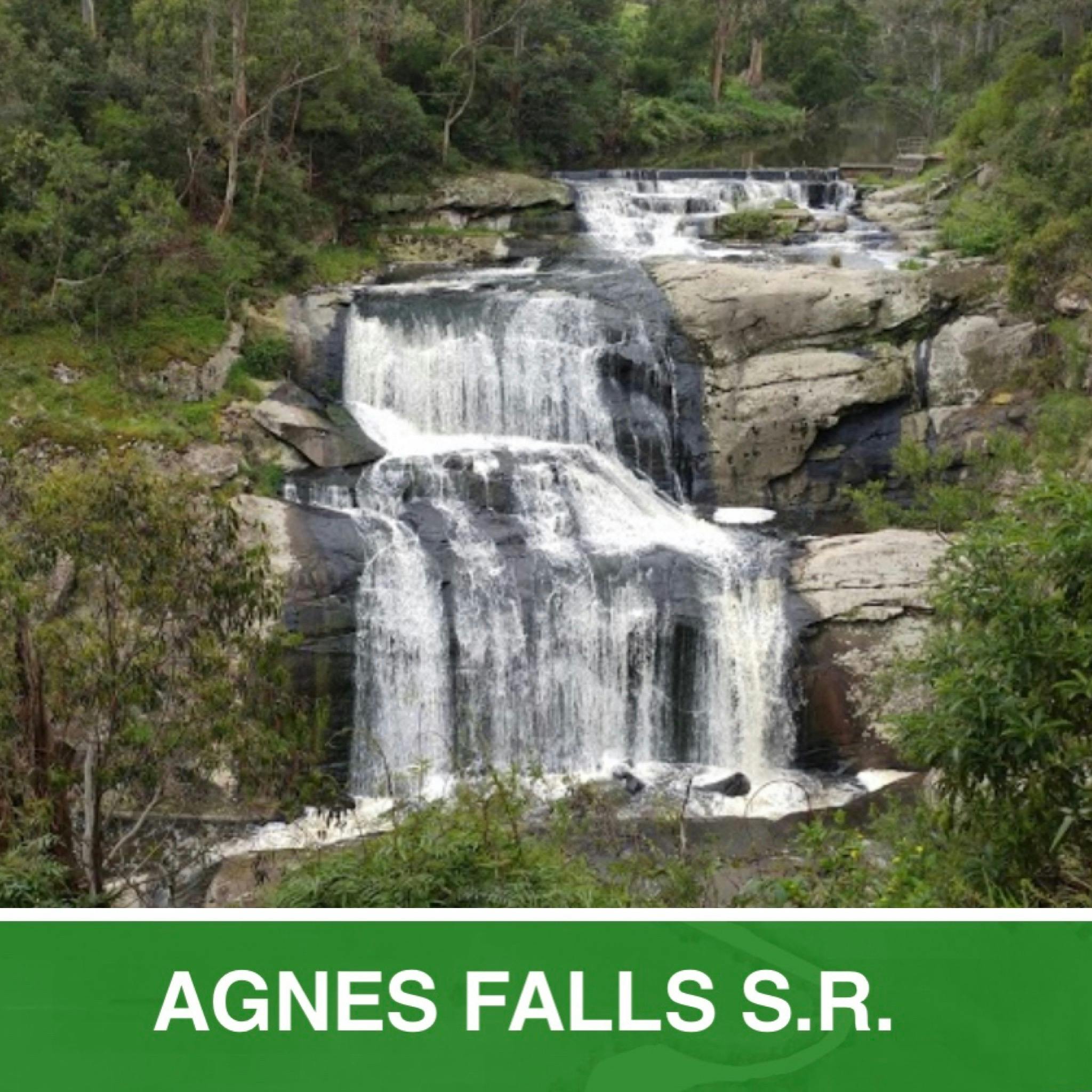 Agnes Falls Scenic Reserve