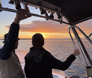 Watch the sunrise over Port Albert inlet with a private charter