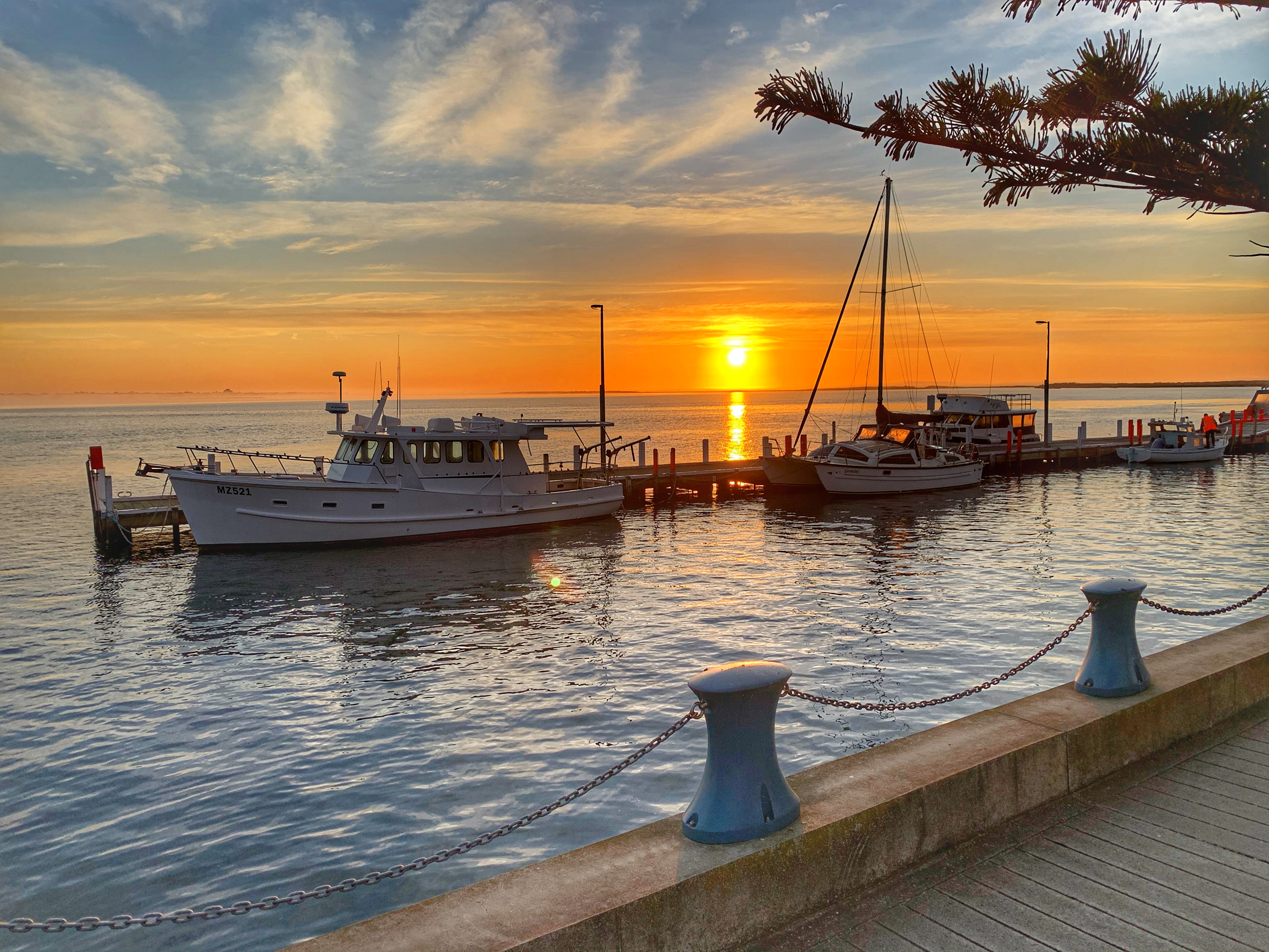 Early morning walks are a spectacular way to view the port