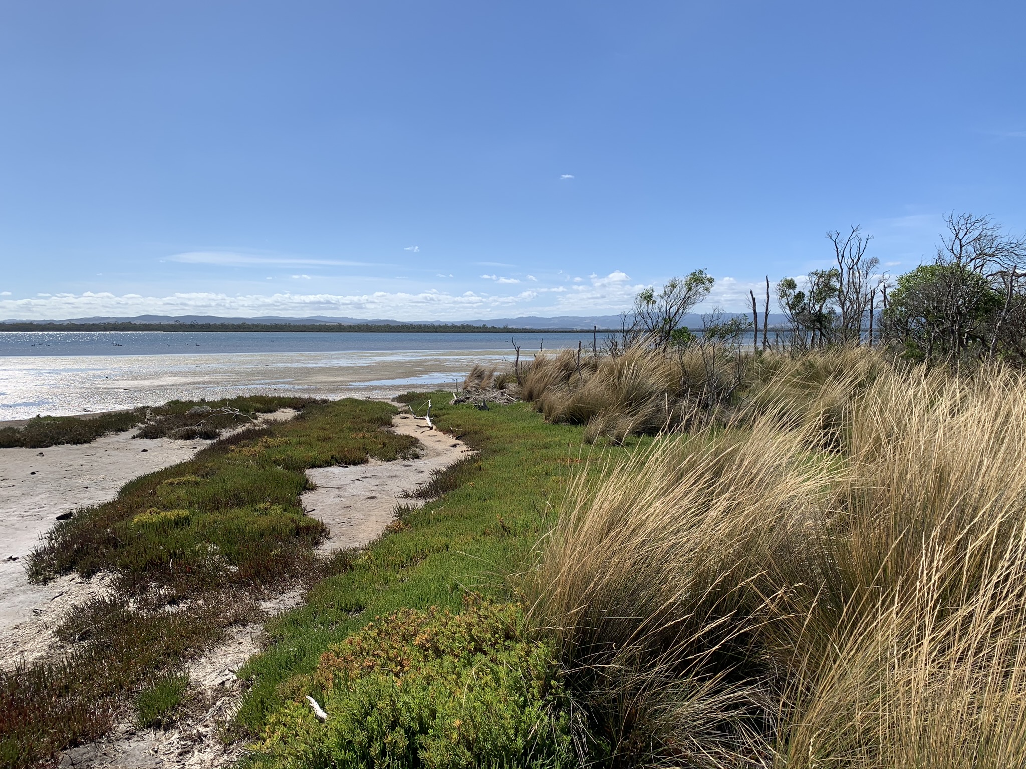 Natural beauty of Nooramunga Marine & Coastal Park