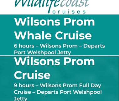 Wildlife Coast Cruises tour options