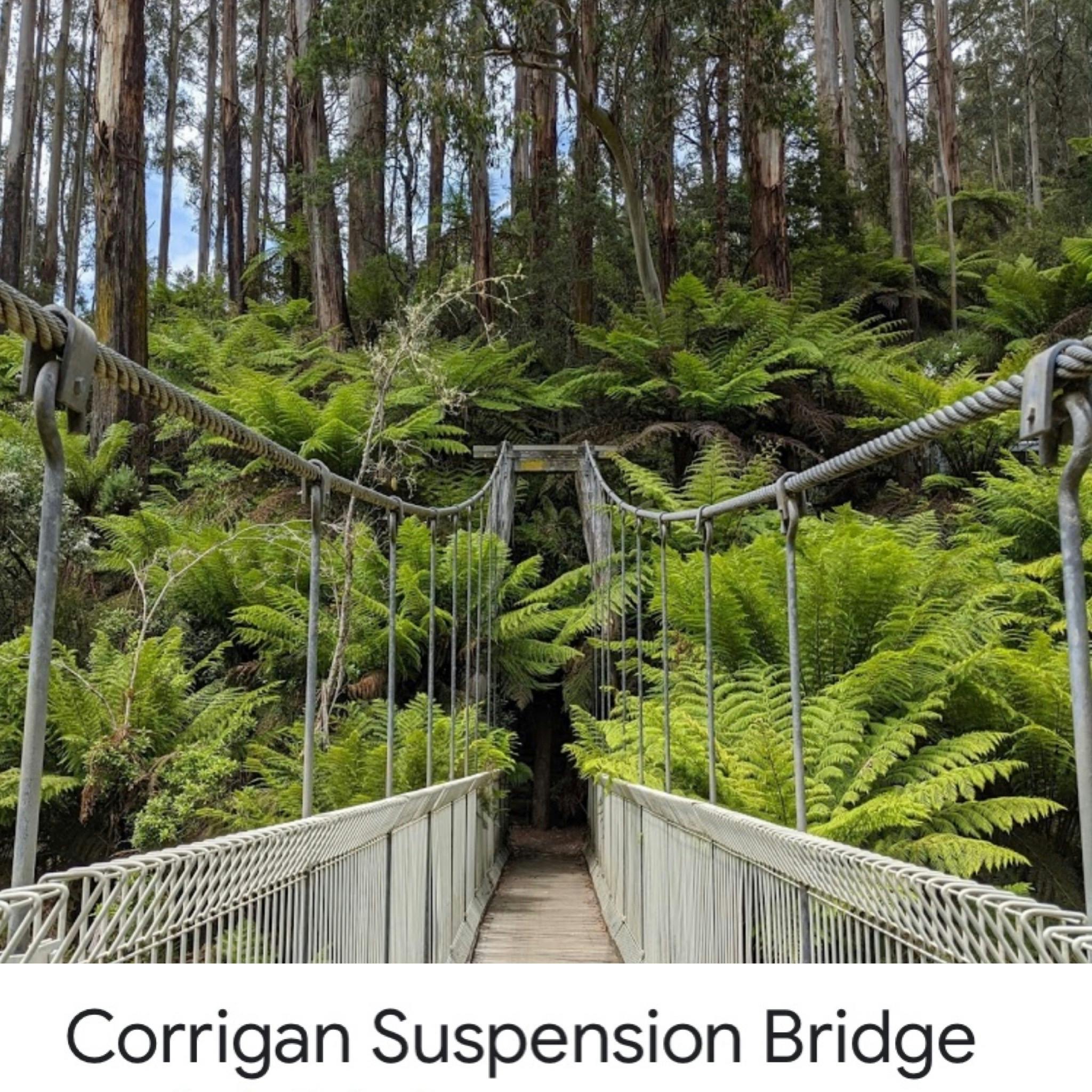 Corrigan Suspension Bridge, Balook