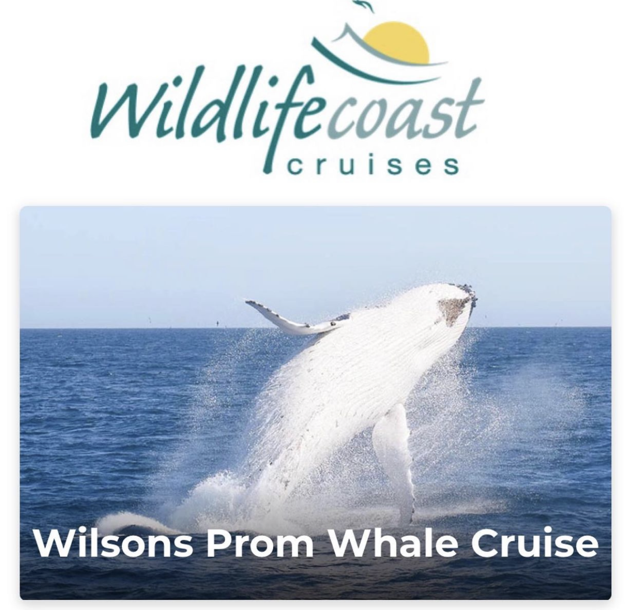 Wildlife Coast Cruises