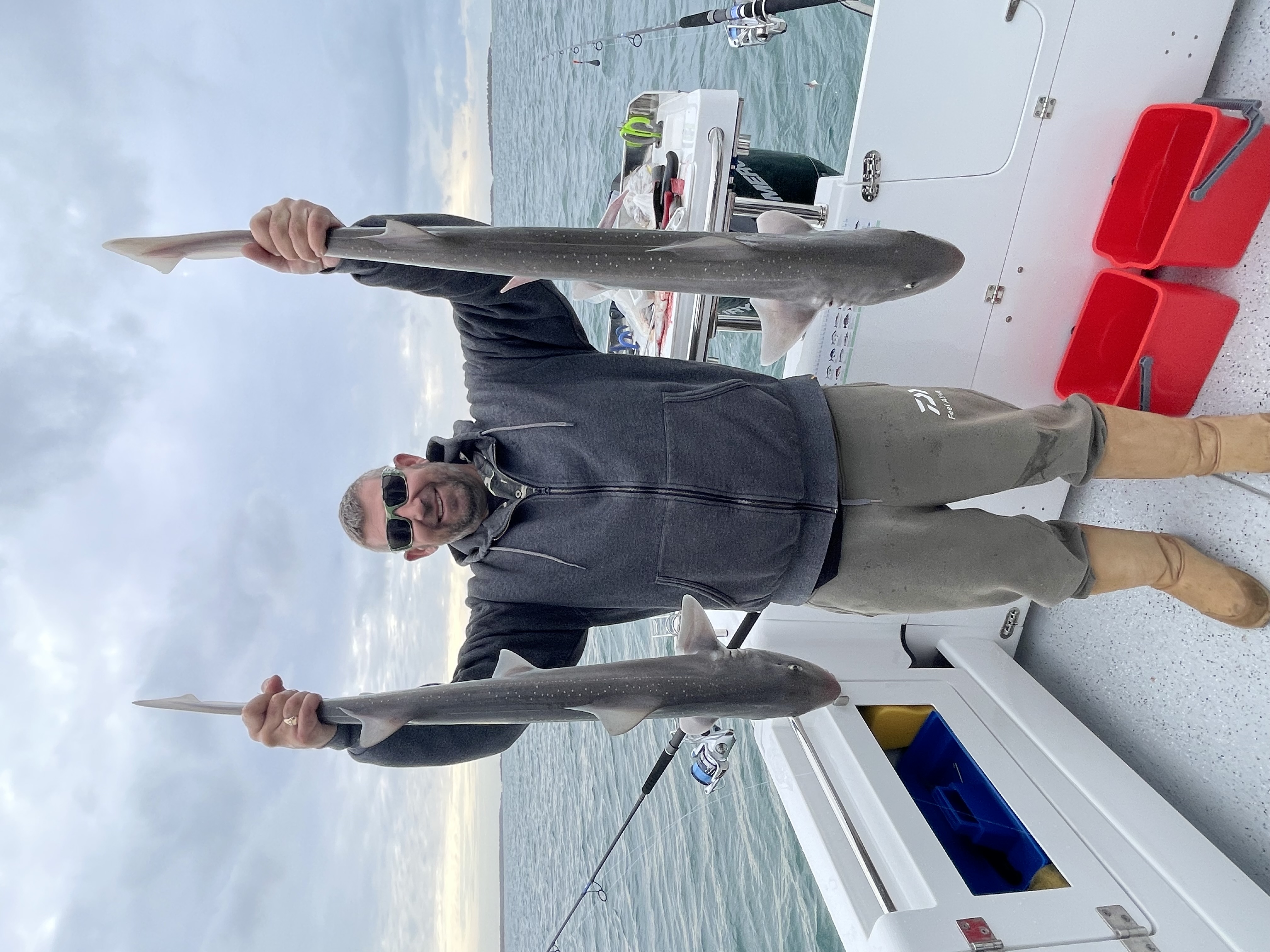 Catch Gummy Shark onboard 38 South Charters