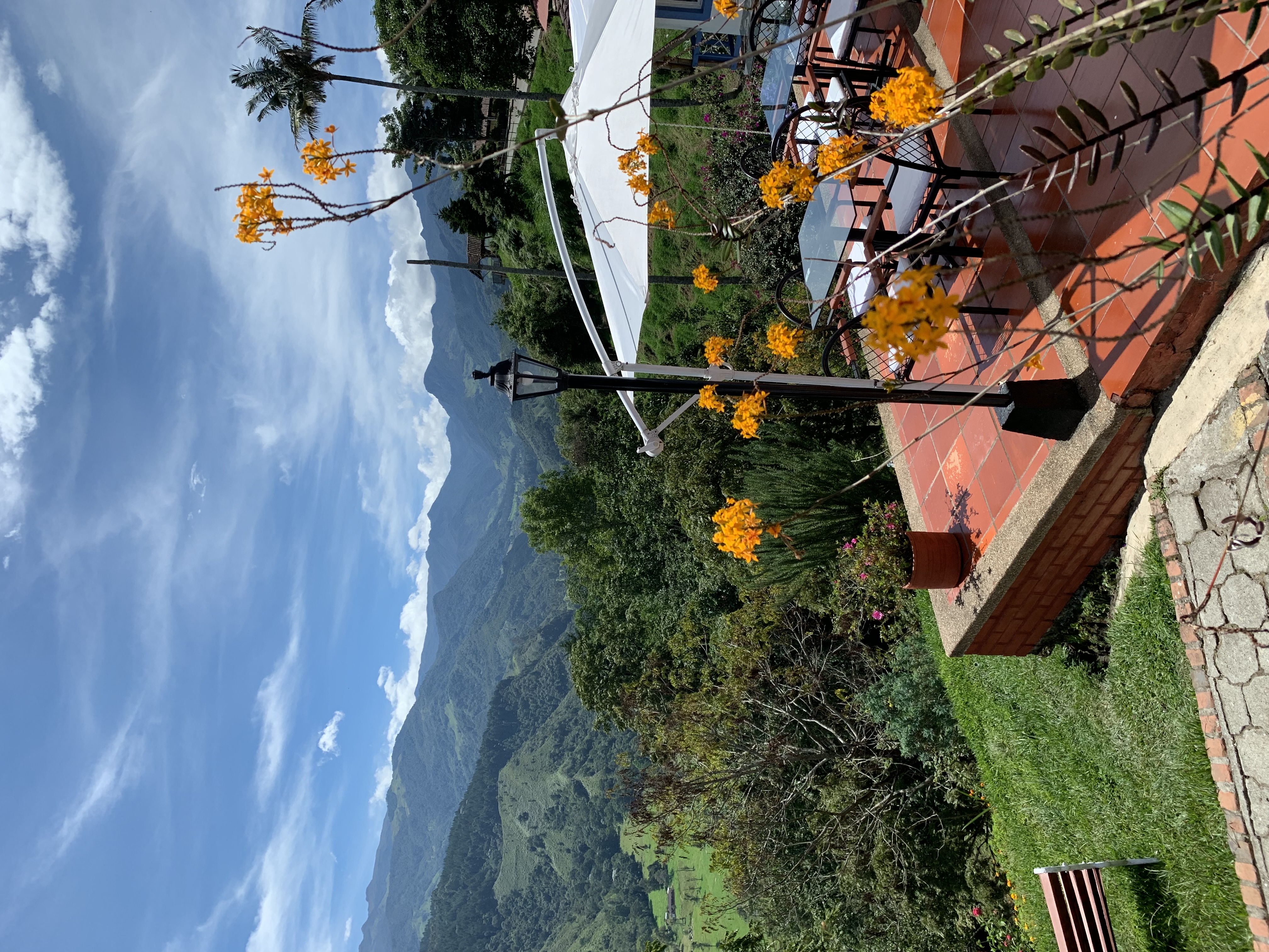 Terraza -Valle del Cocora - Salento - Quindio - Colombia - Eje Cafetero