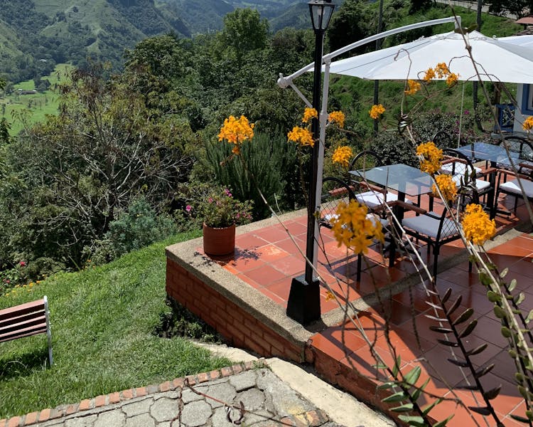 Terraza -Valle del Cocora - Salento - Quindio - Colombia - Eje Cafetero