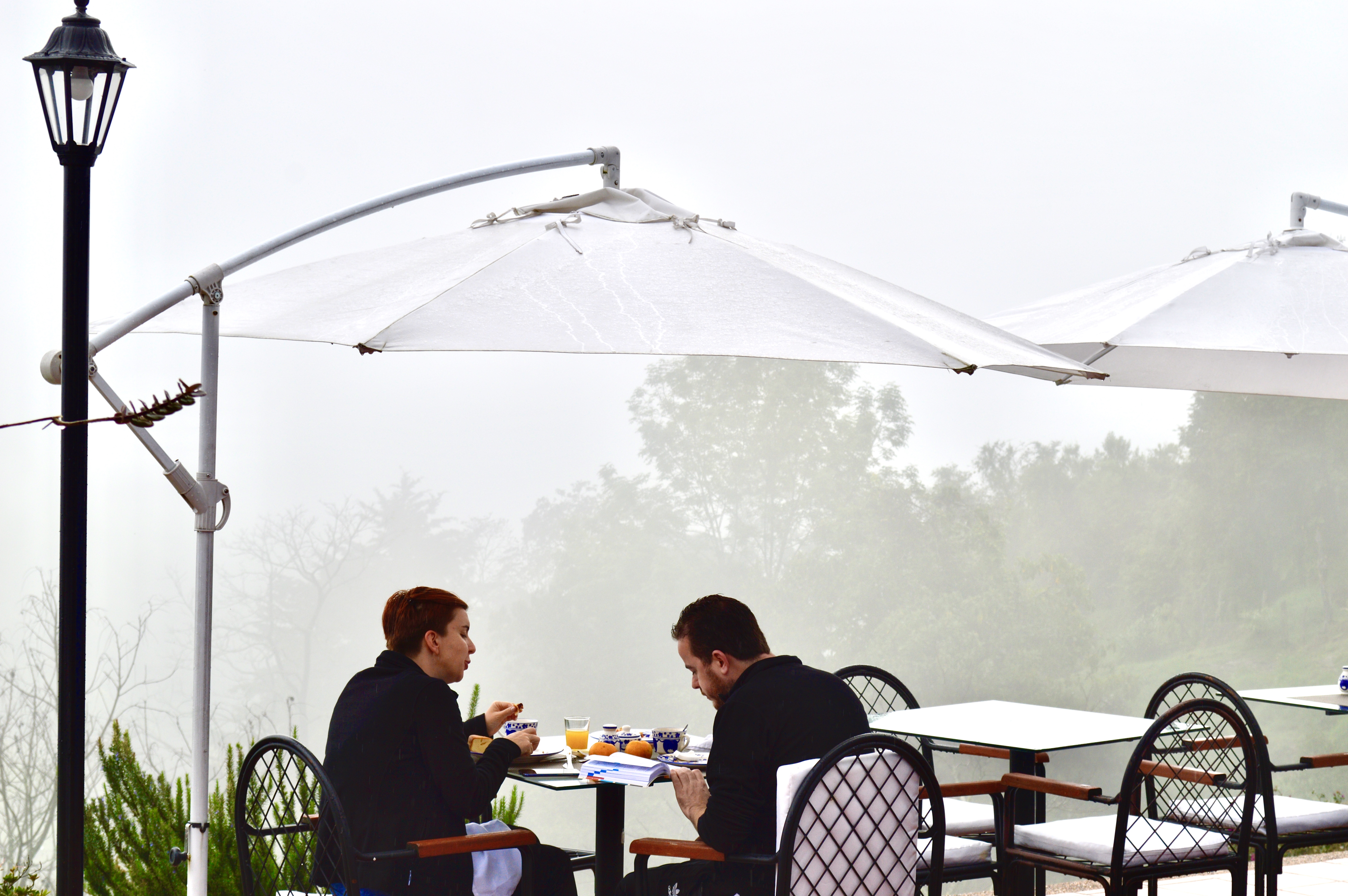 Terraza -Valle del Cocora - Salento - Quindio - Colombia - Eje Cafetero
