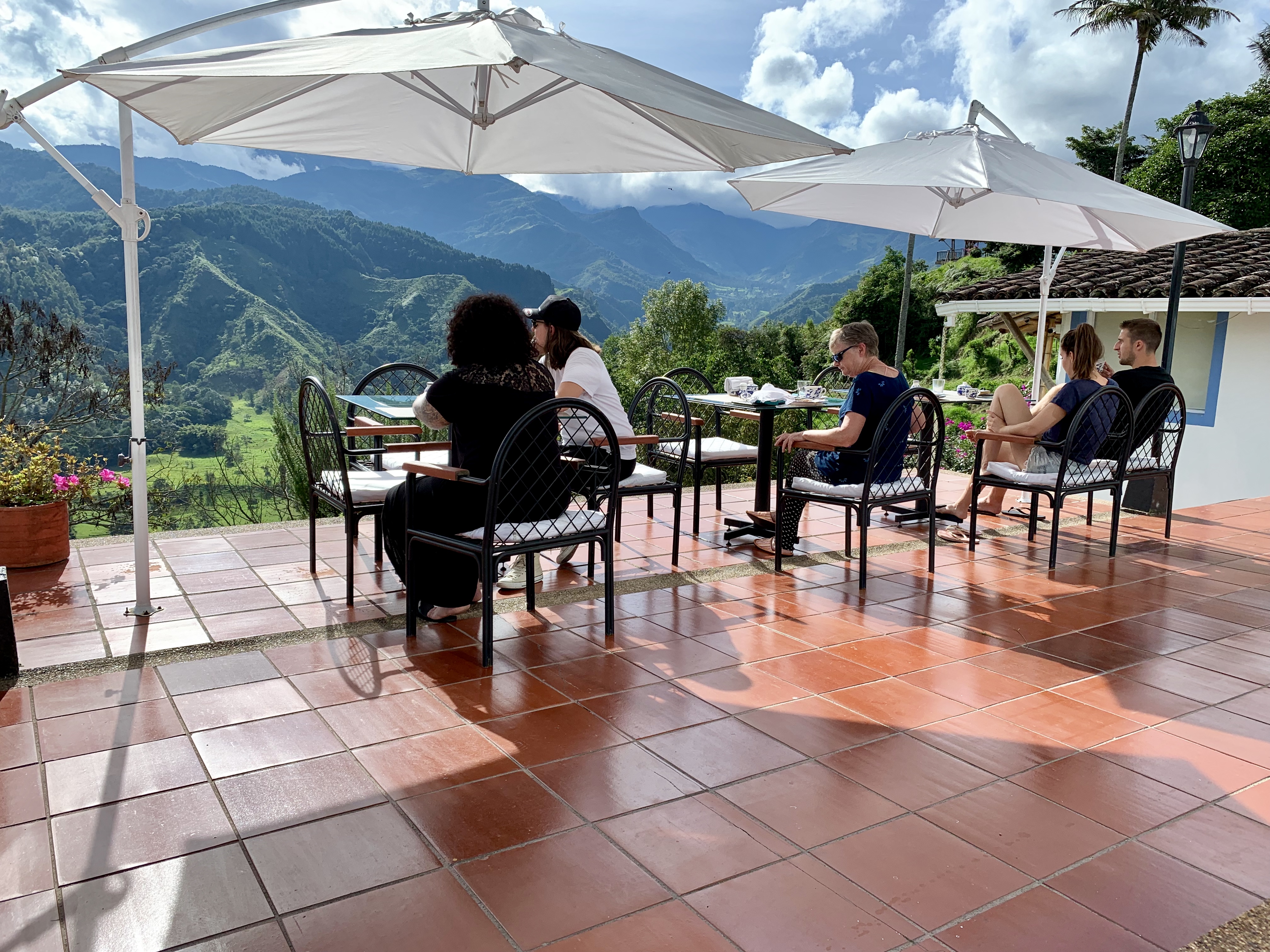 Terraza -Valle del Cocora - Salento - Quindio - Colombia - Eje Cafetero