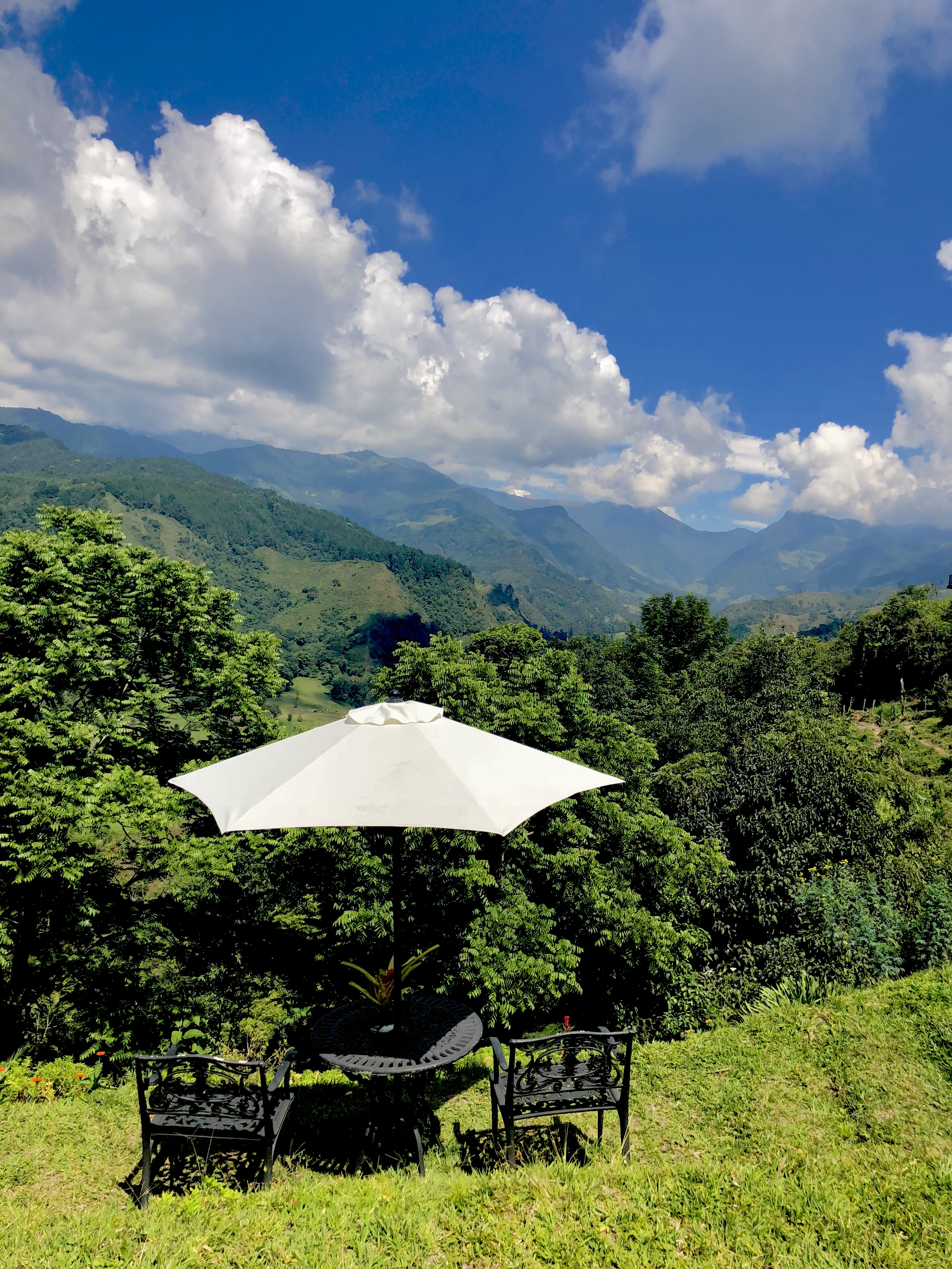 Valle del Cocora - Salento - Quindio - Colombia - Eje Cafetero