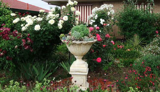 Admurraya House Rutherglen Accommodation Front Garden Urn