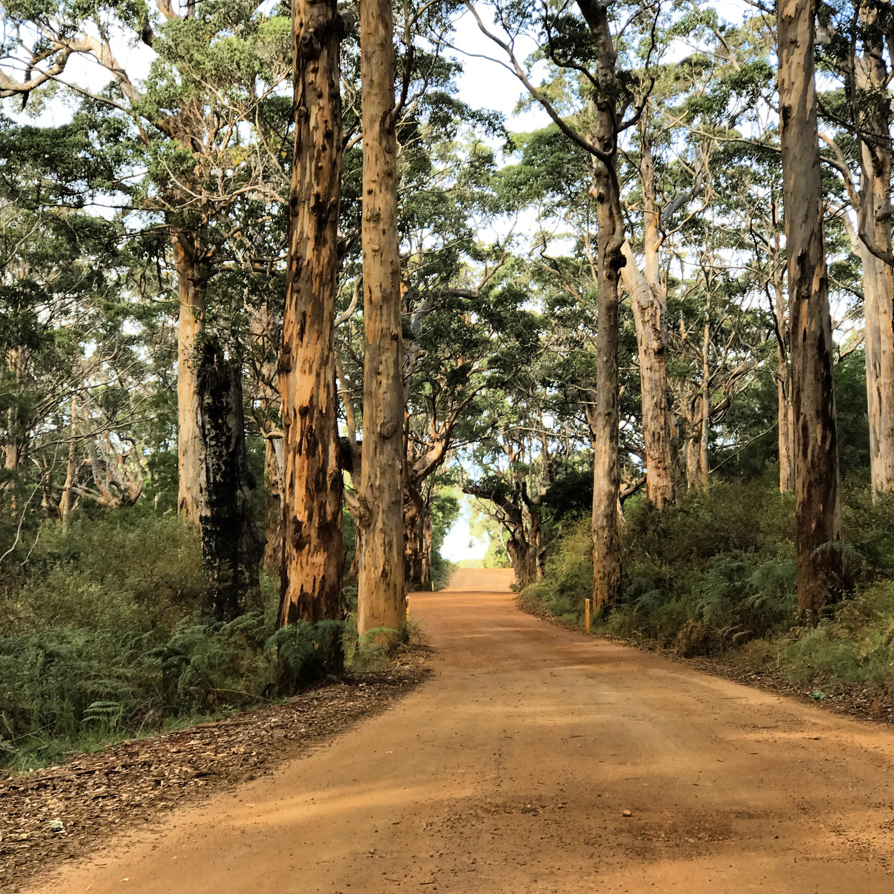 West Cape Howe National Park