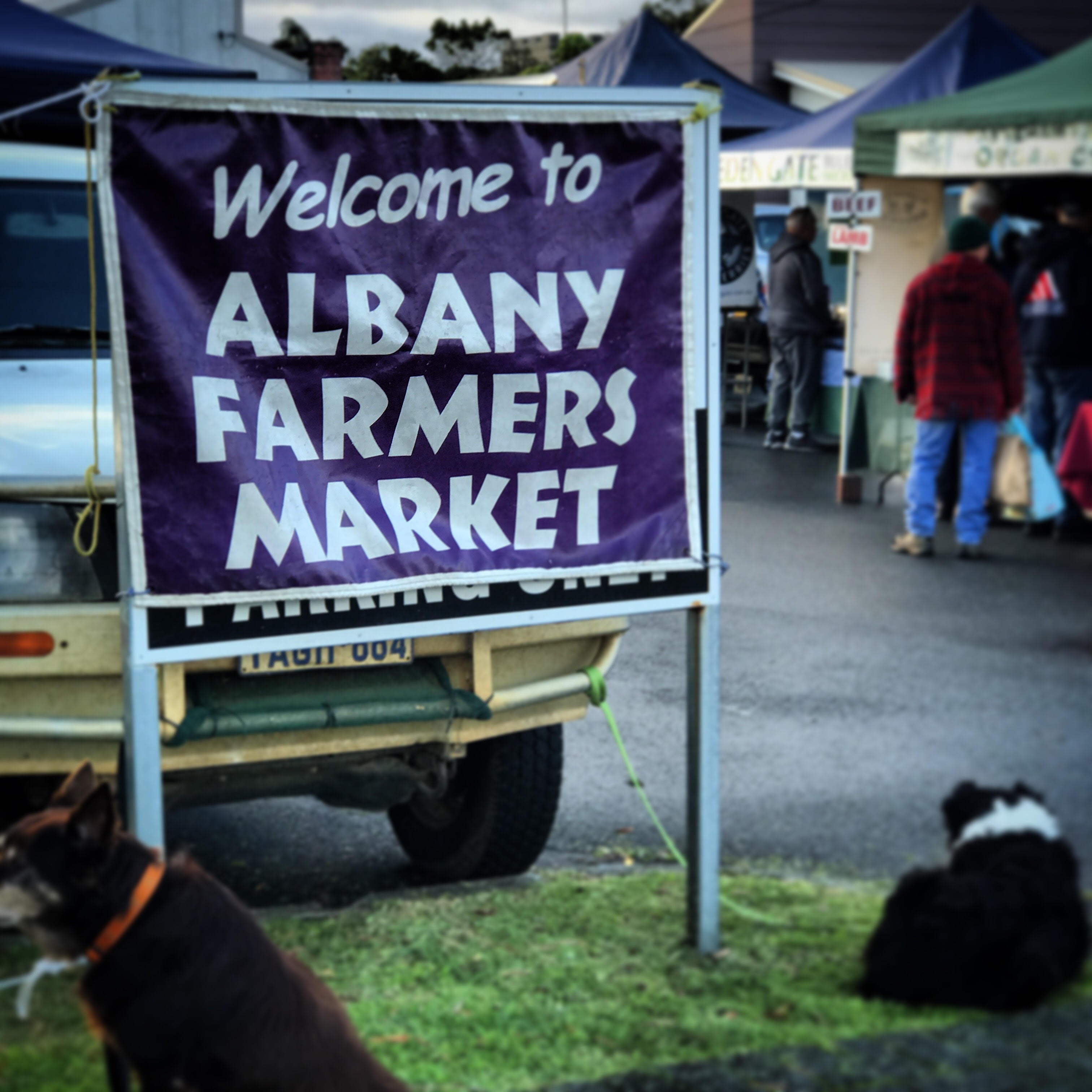 Albany Farmer's Market