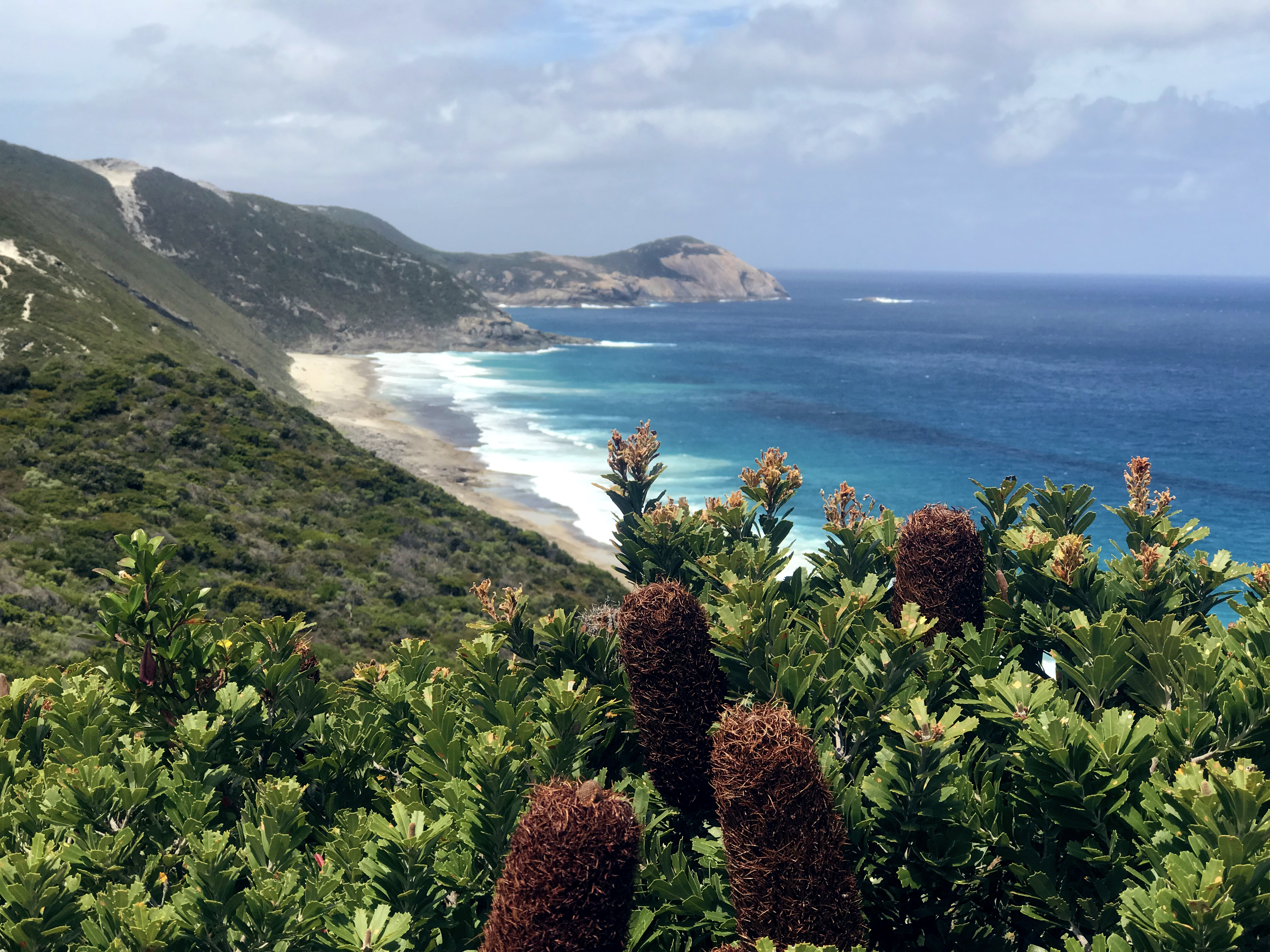 View from Bald Head walking trail