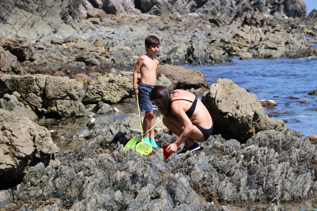 Charquinos en la Playa de Cadavedo