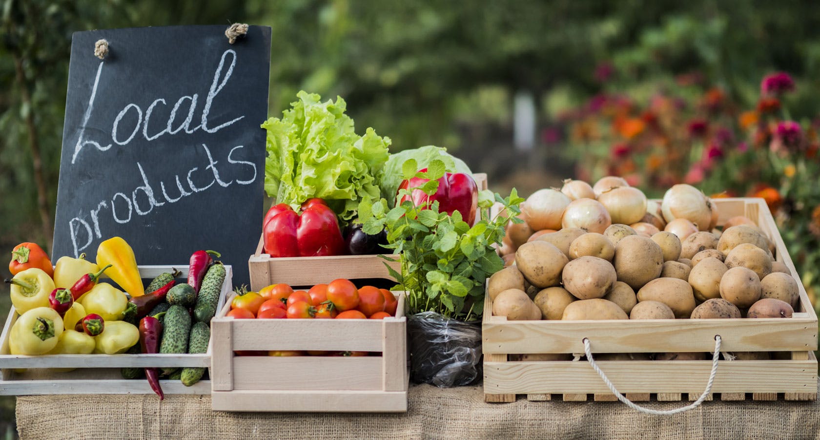 Légumes de producteurs locaux