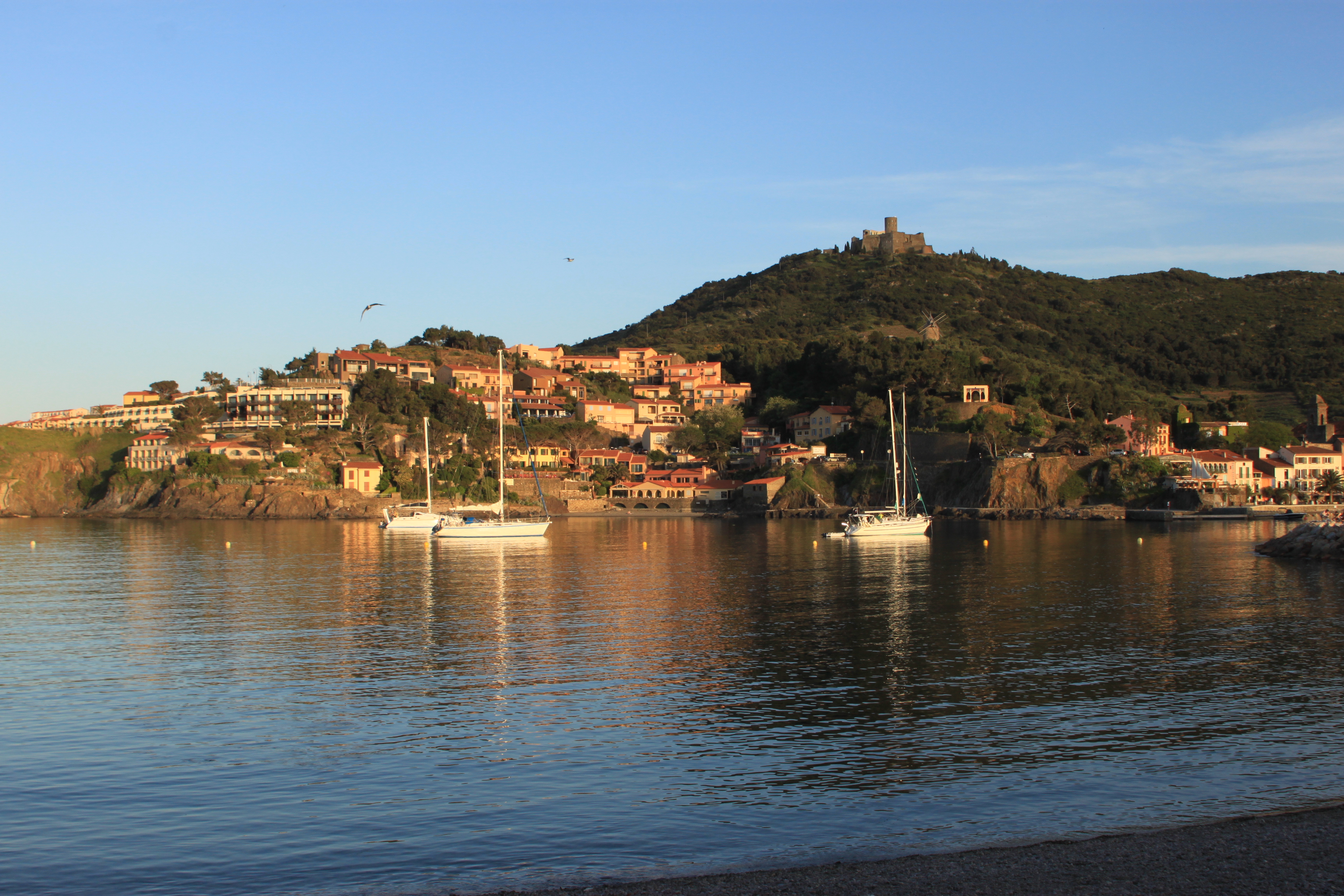 Vue sur la plage Boramar à Collioure
