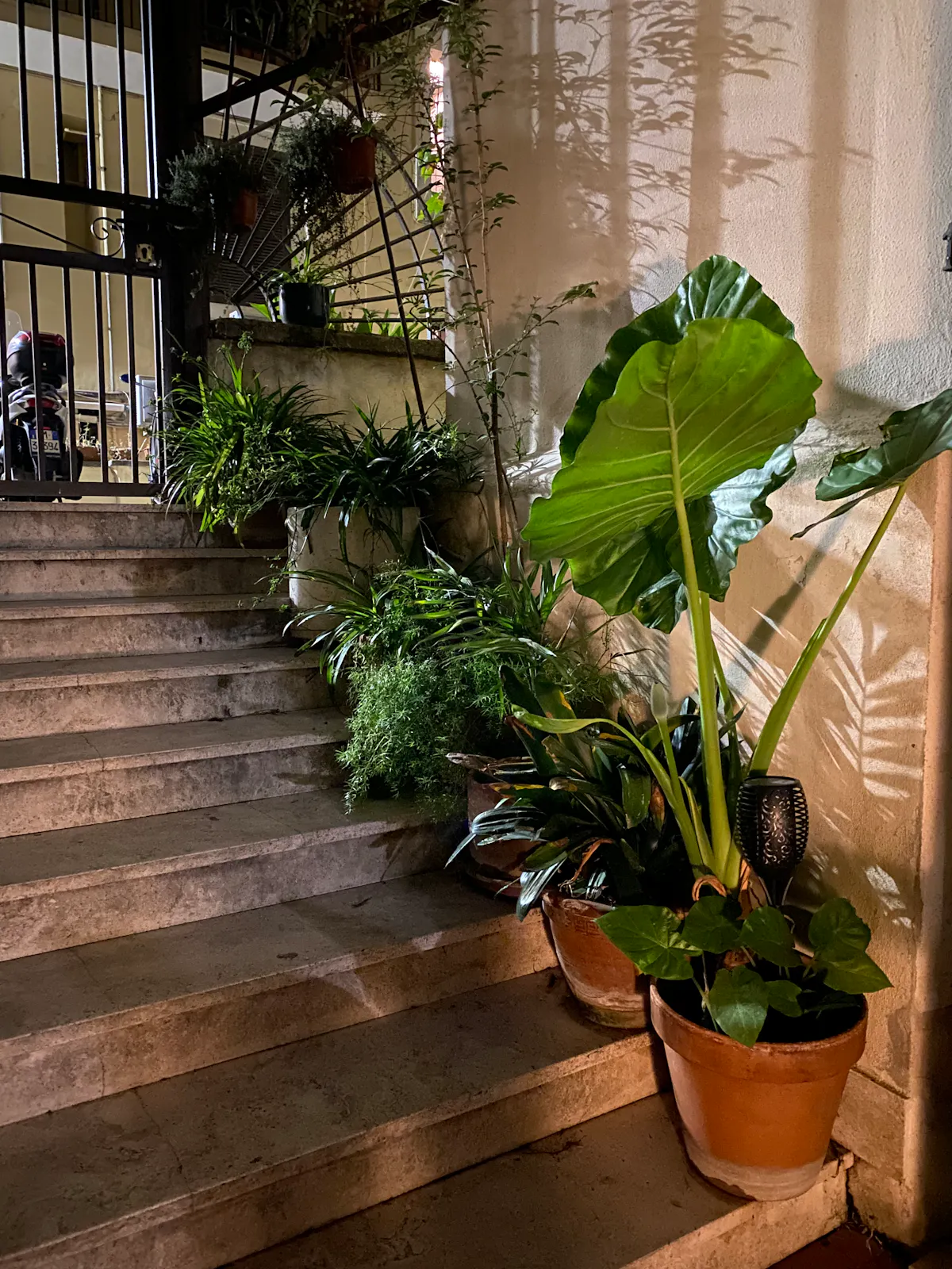 Hostel Il Plancton, photo 3