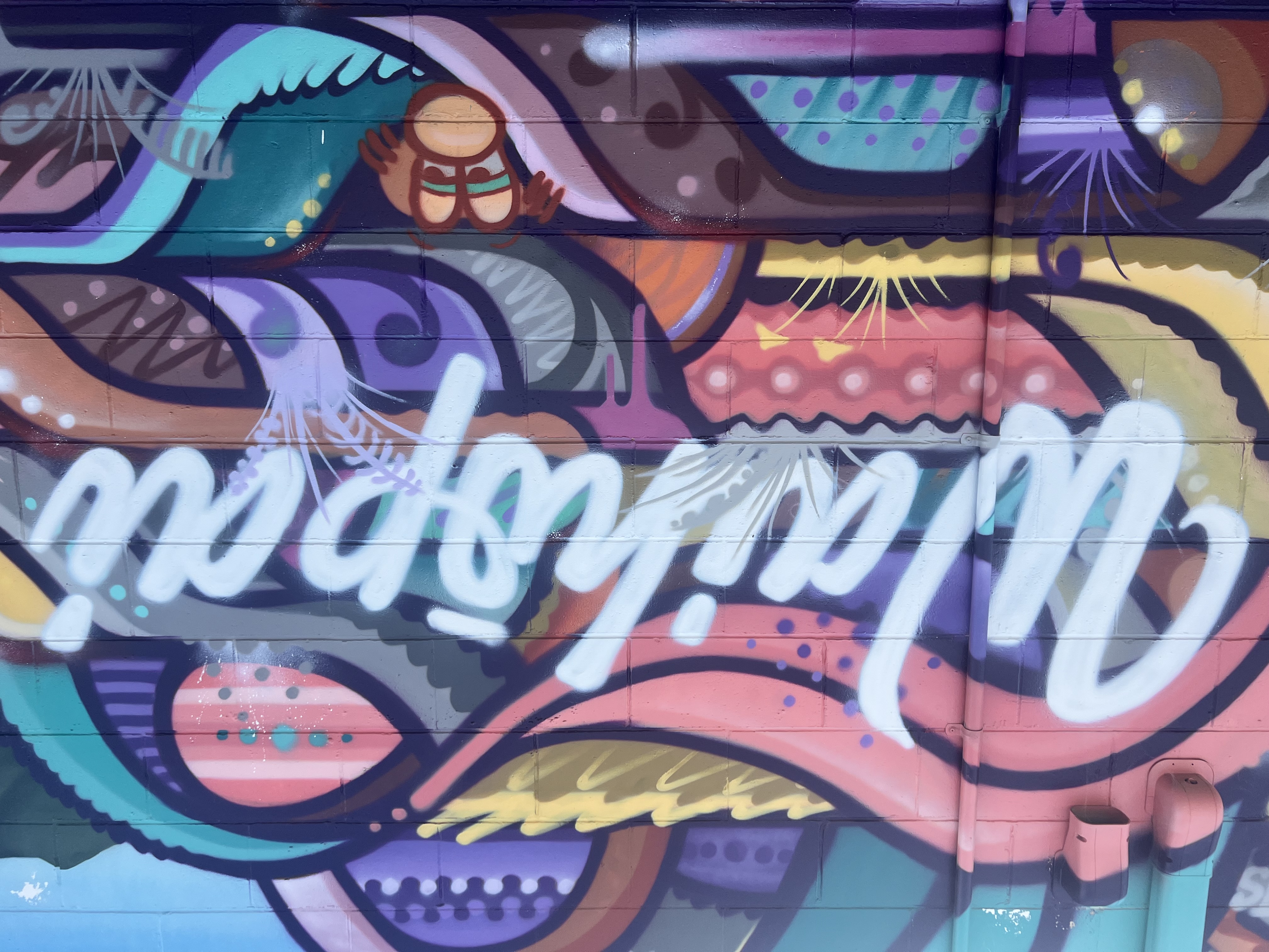 Waihopai (Invercargill) Street art, South Sea Spray Artists 2024