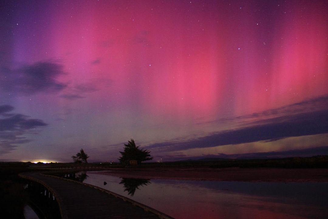 Invercargill Estuary Walkway - credit Invercargill City Council