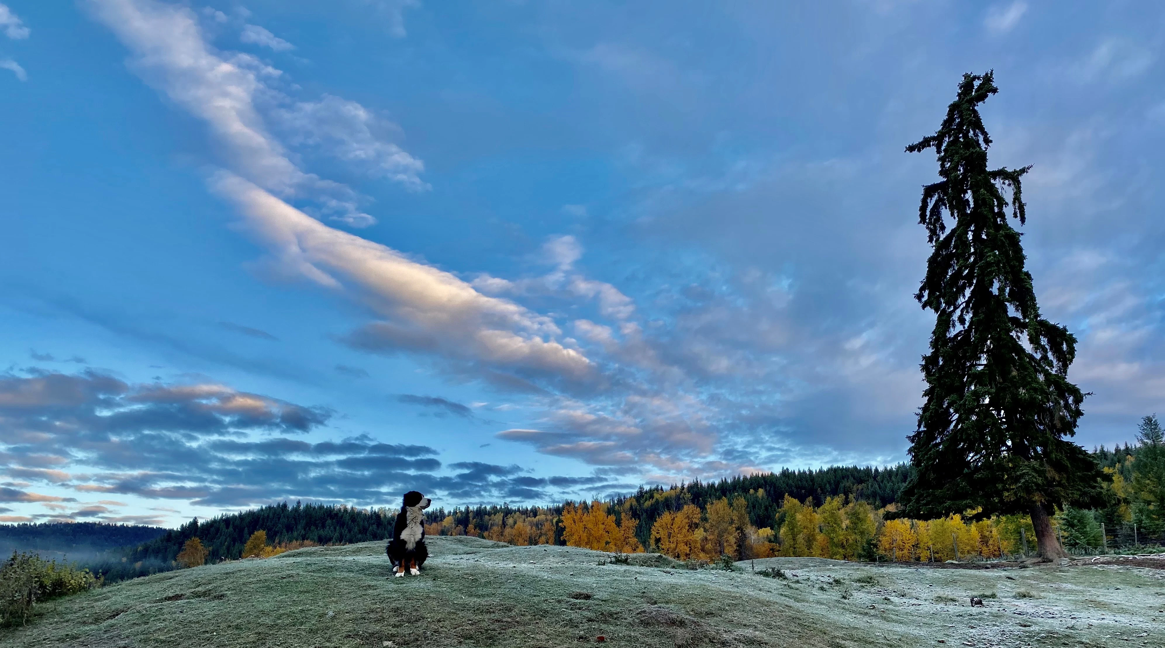 Kayanara Guest Ranch & Resort photo 5