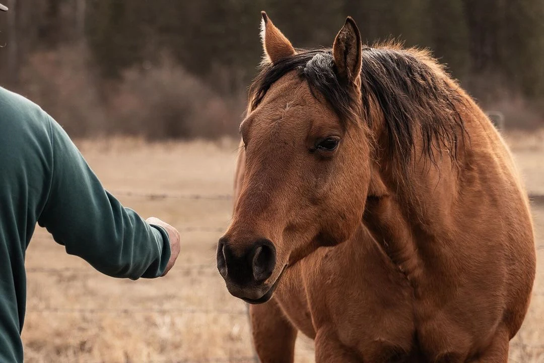 Kayanara Guest Ranch & Resort photo 7