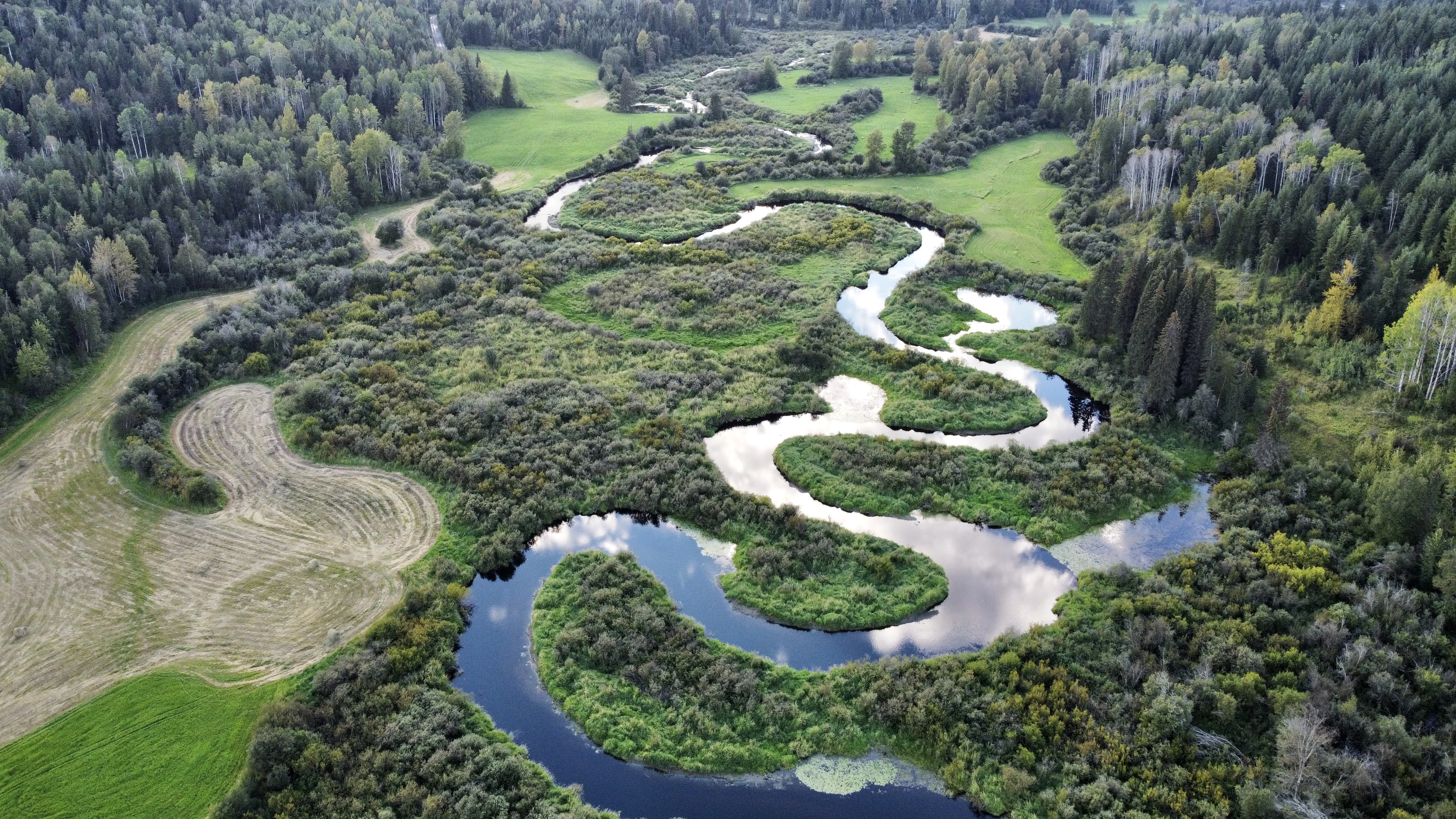 Kayanara Guest Ranch & Resort photo 10