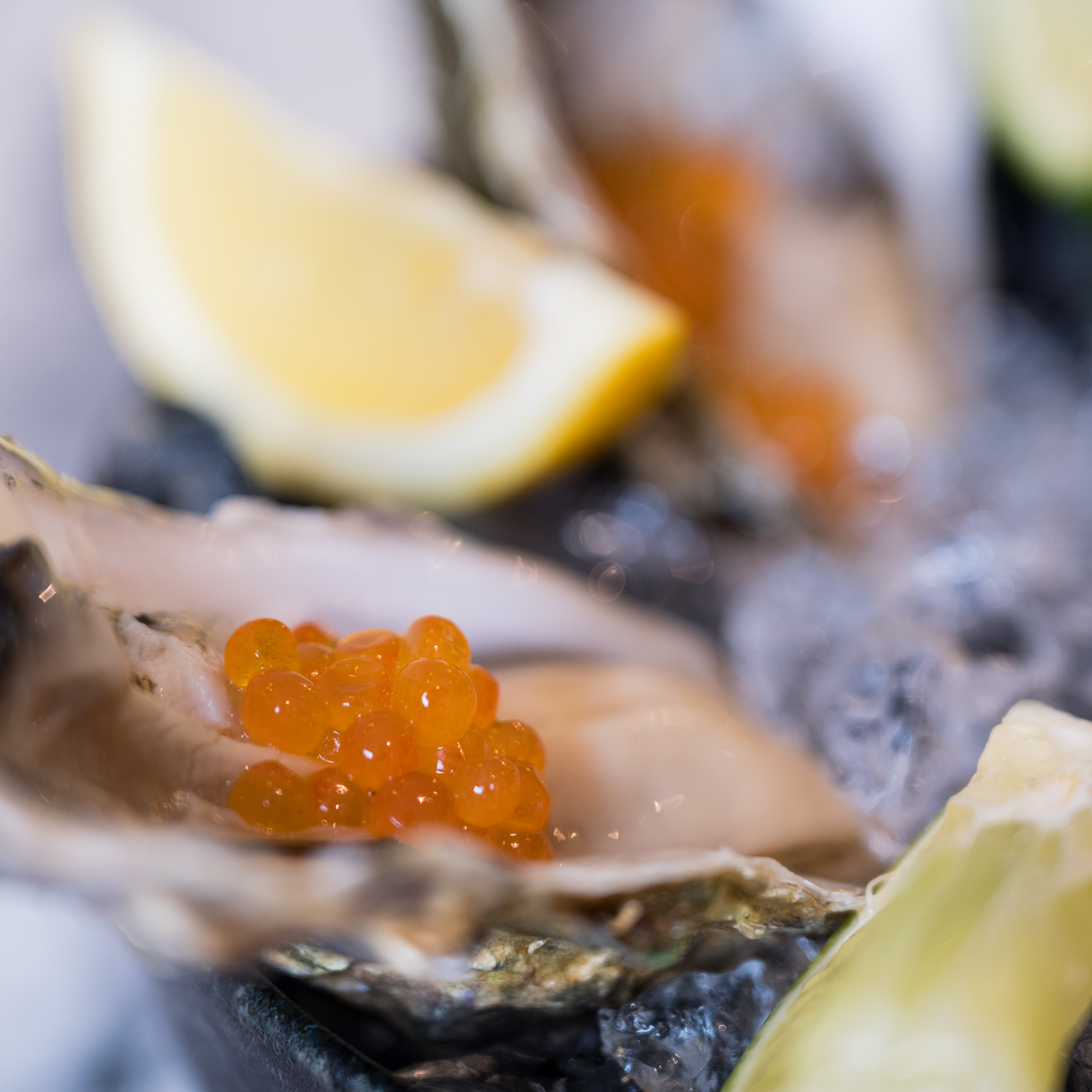 oysters and champaign at Doma zagreb hotel Croatia