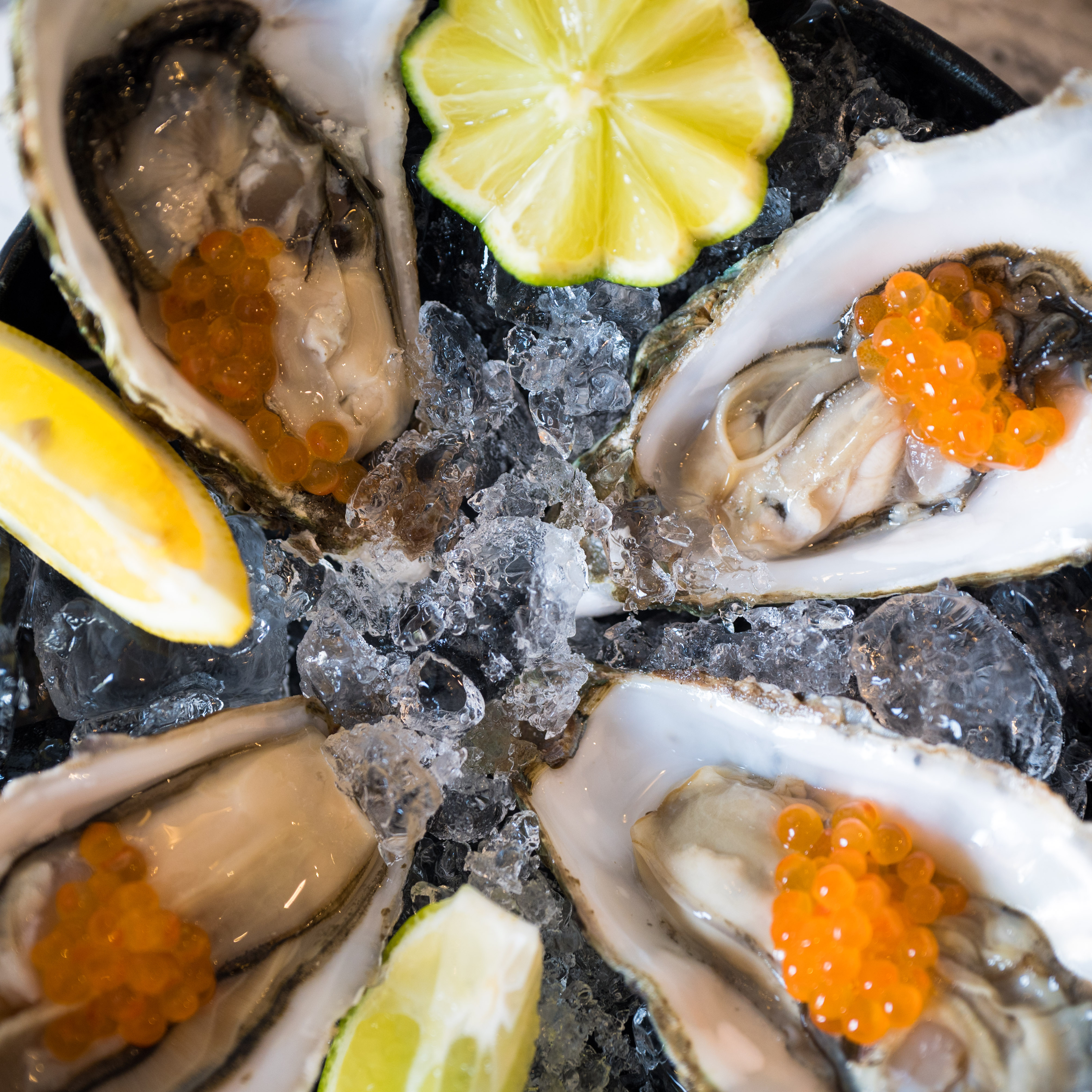 oysters and champaign at Doma zagreb hotel Croatia