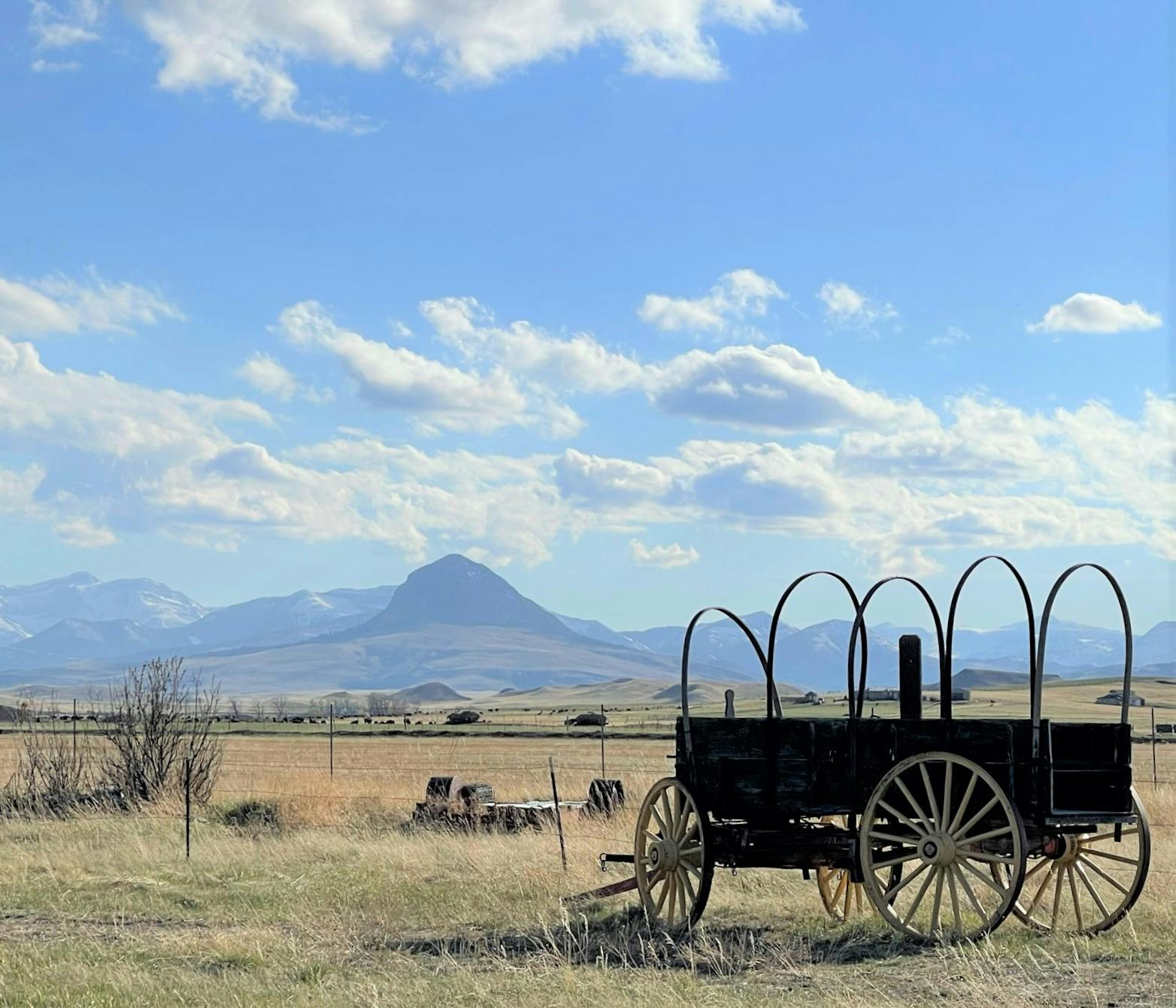 Montana's Wagons West: Where the Wild West Meets Modern Comfort