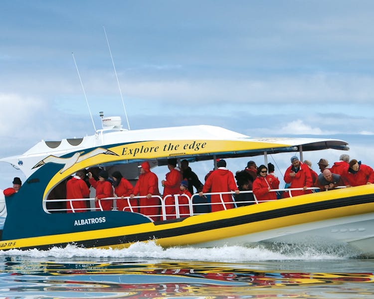 Pennicotts Eco Tourism Boat Trip