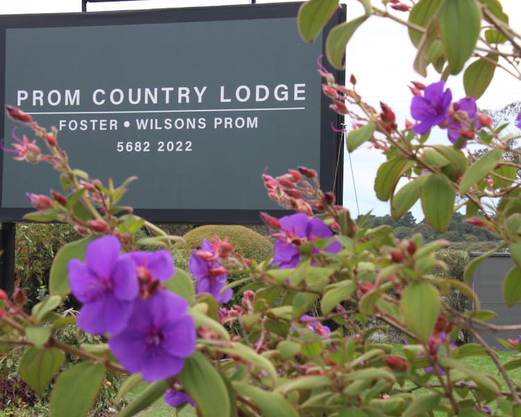 Prom Country Lodge Sign