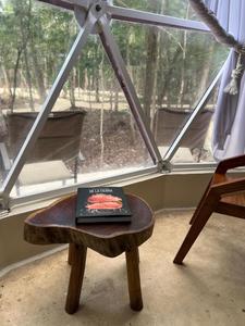 Vista domo Dome view