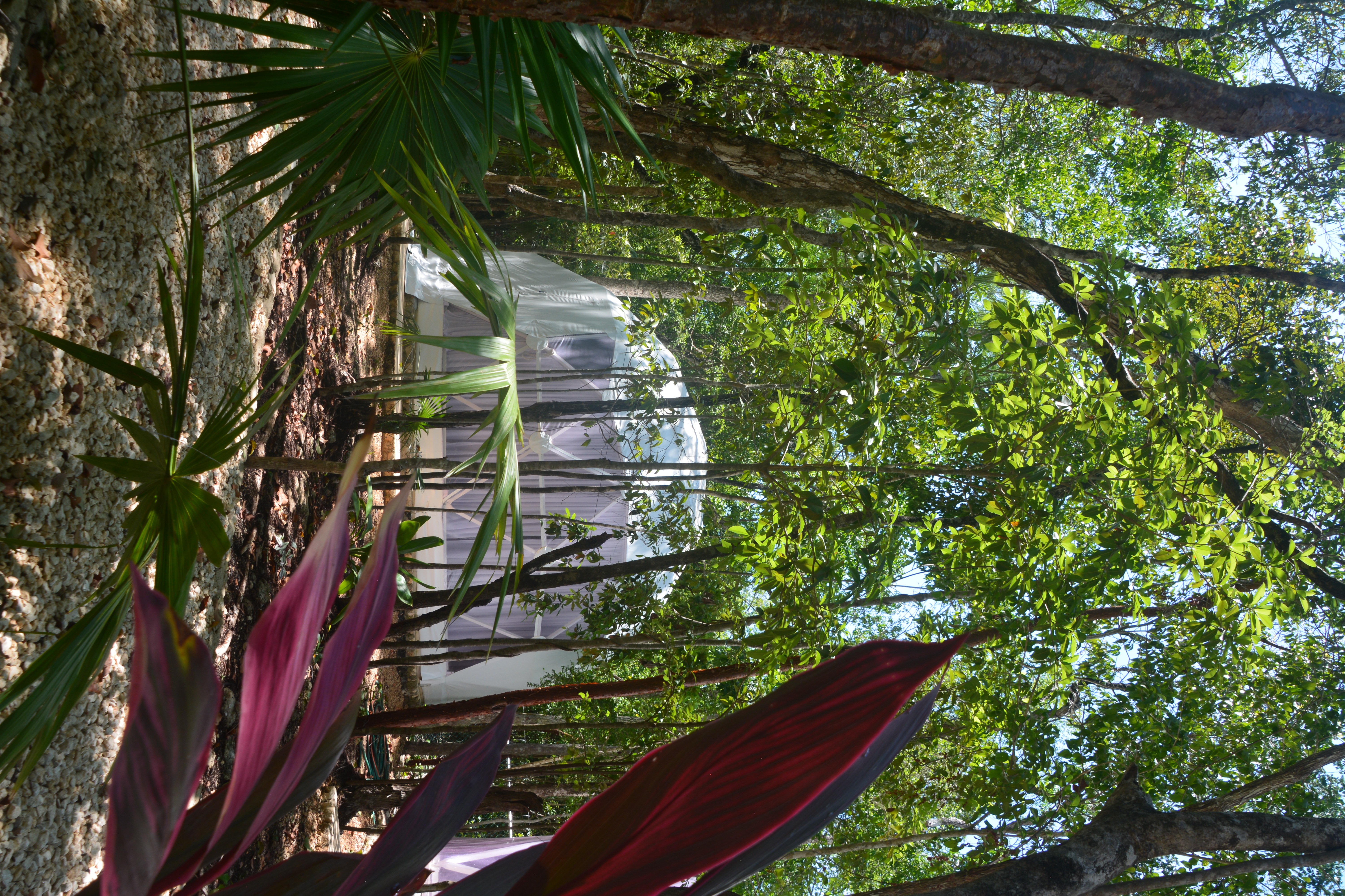 Domo exterior Dome outside