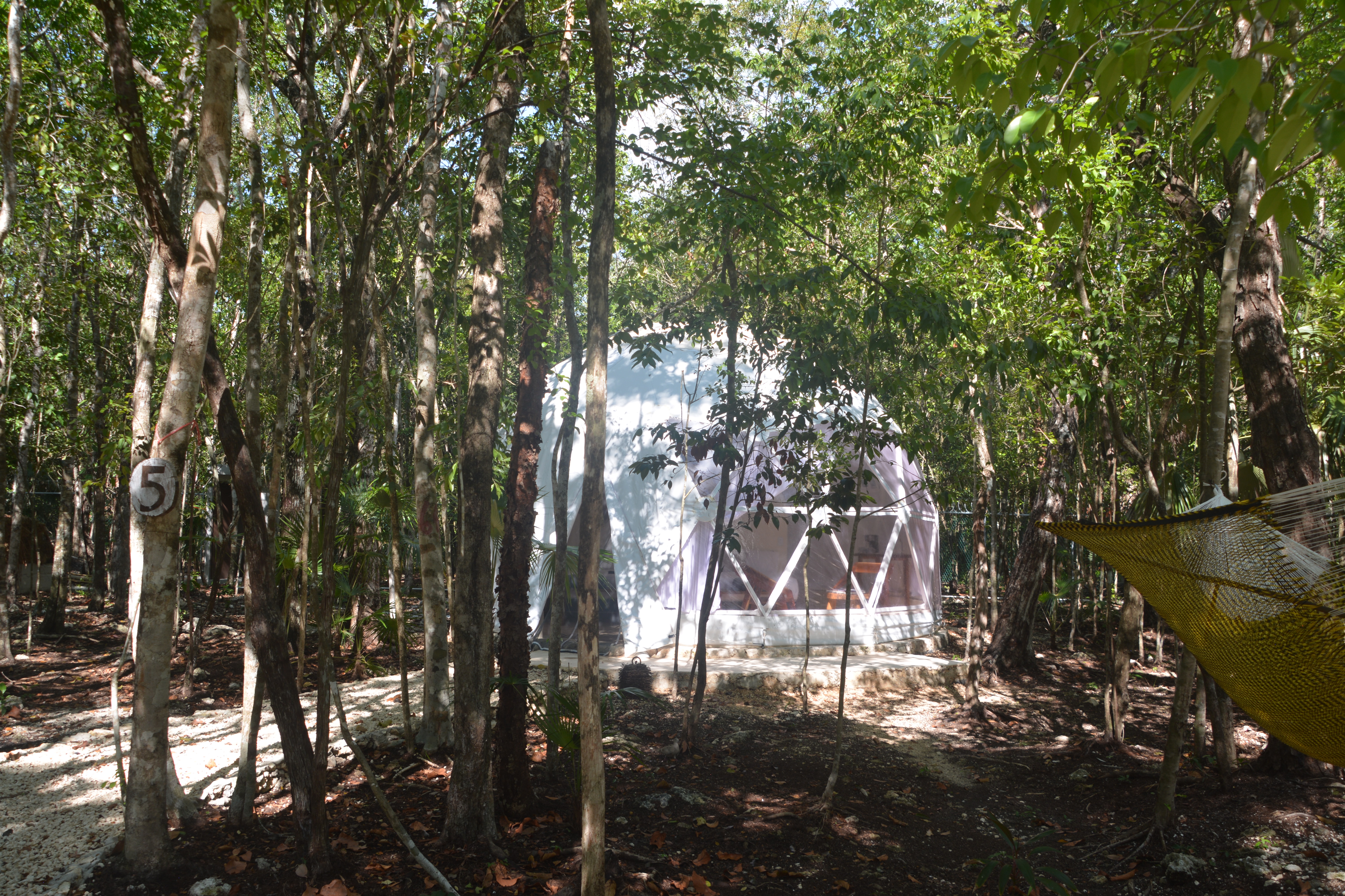 Domo exterior Dome outside