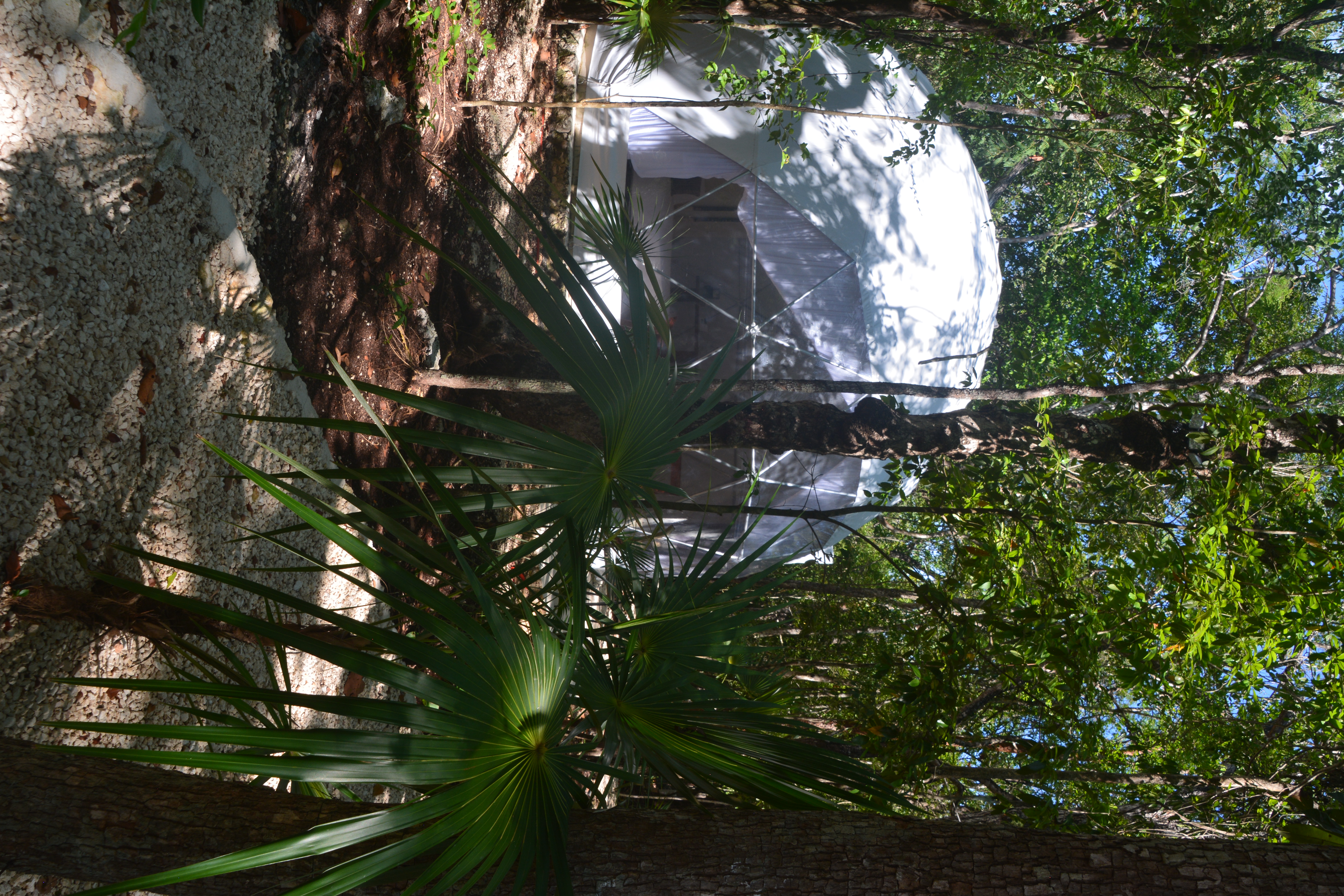 Domo exterior Dome outside