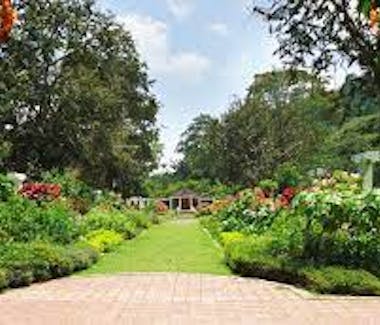 Attractions - Penang Botanic Gardens