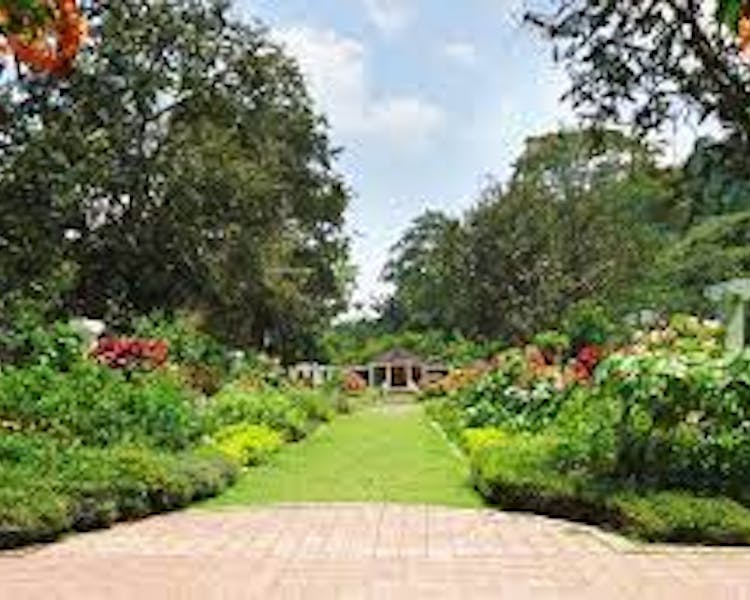 Attractions - Penang Botanic Gardens