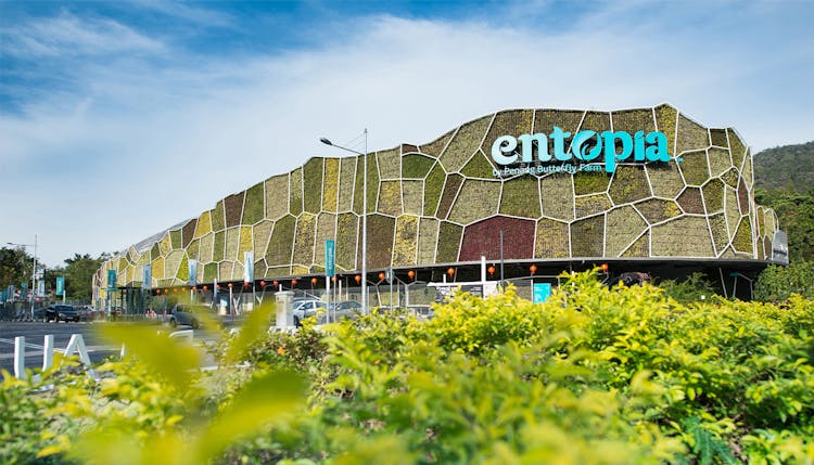 Attractions - Entopia by Penang Butterfly Farm