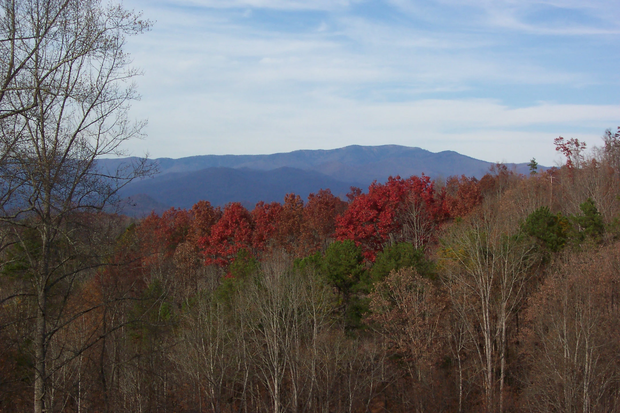 Nantahala Village Resort — photo 40 of 60