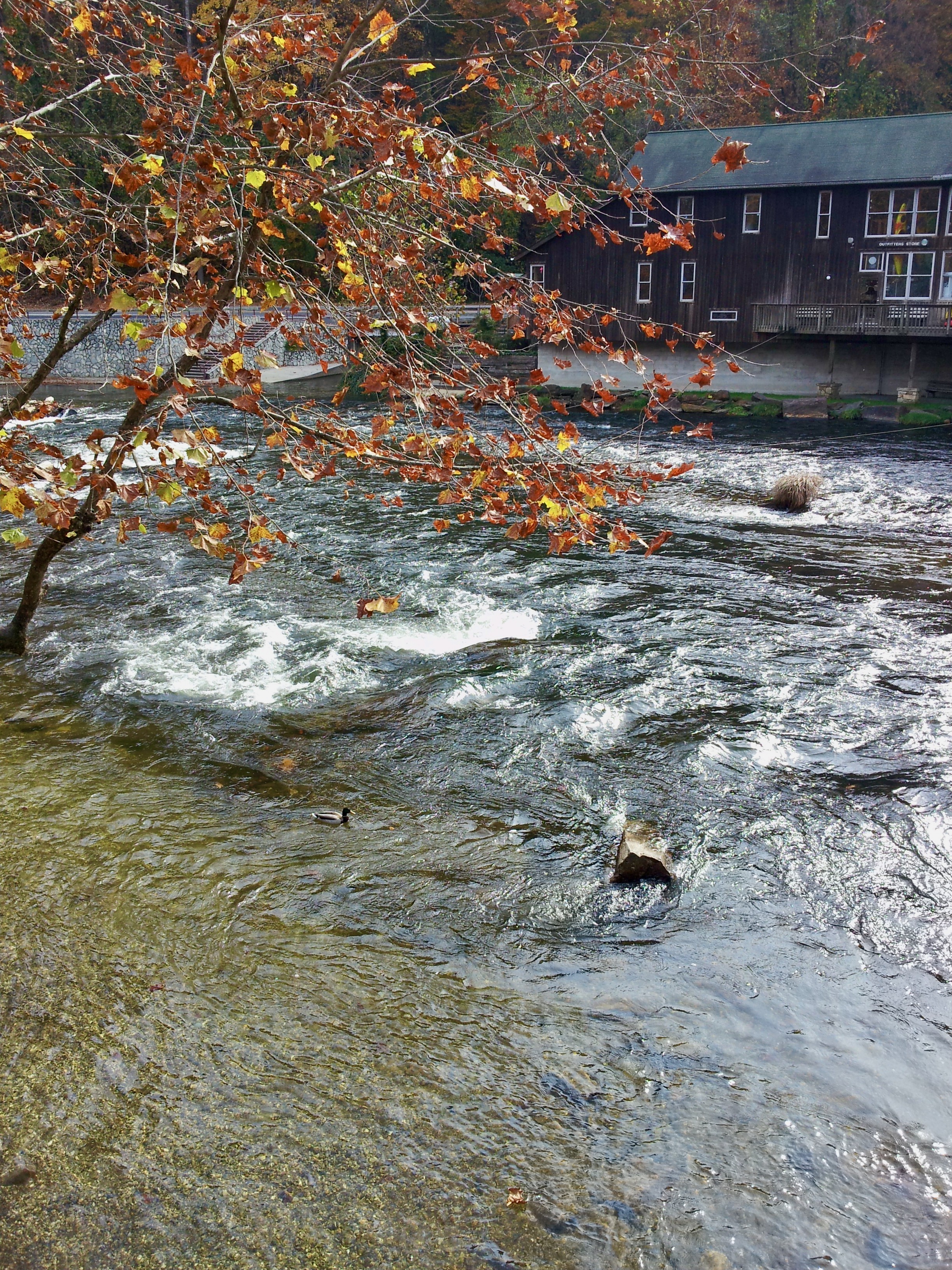 Nantahala Village Resort — photo 55 of 60