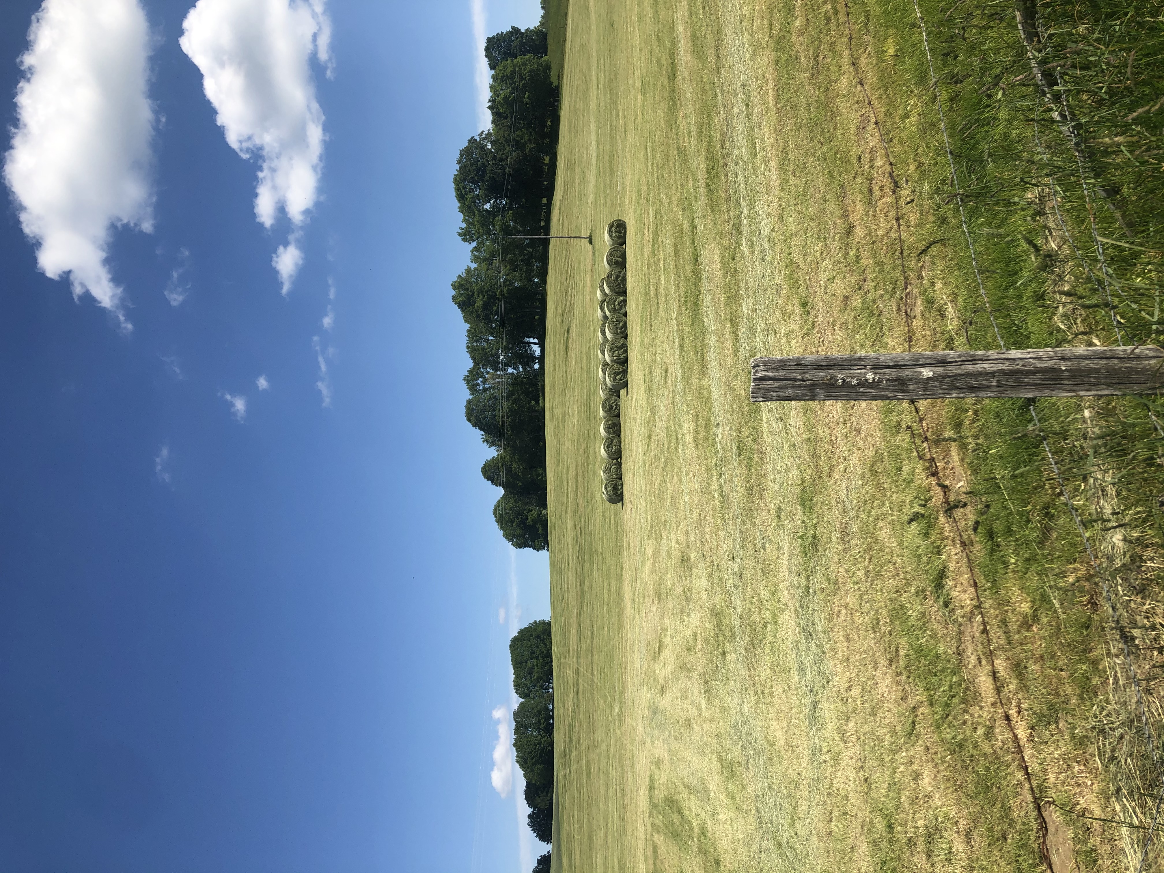 Paysage du Doubs - Les Foins