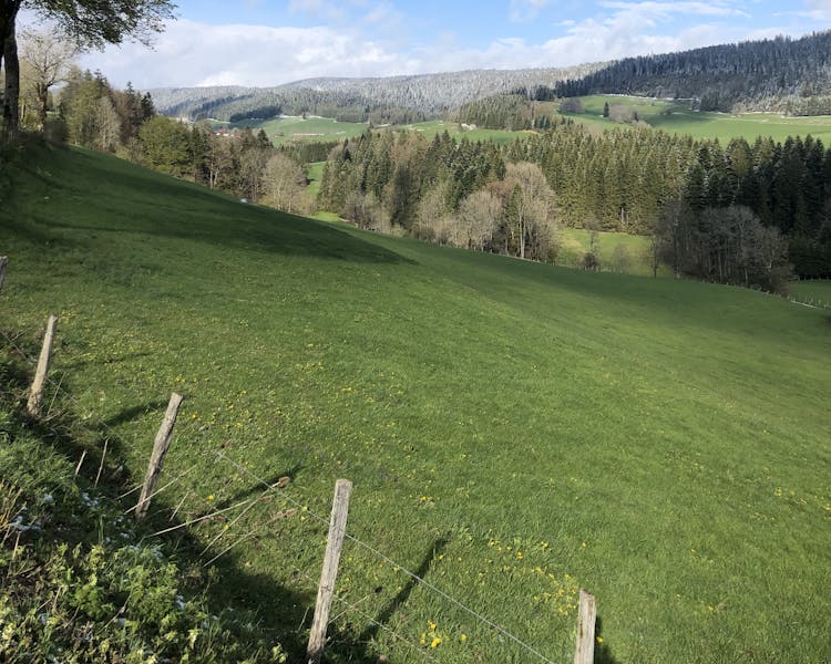 Paysage du Doubs - Les Gras