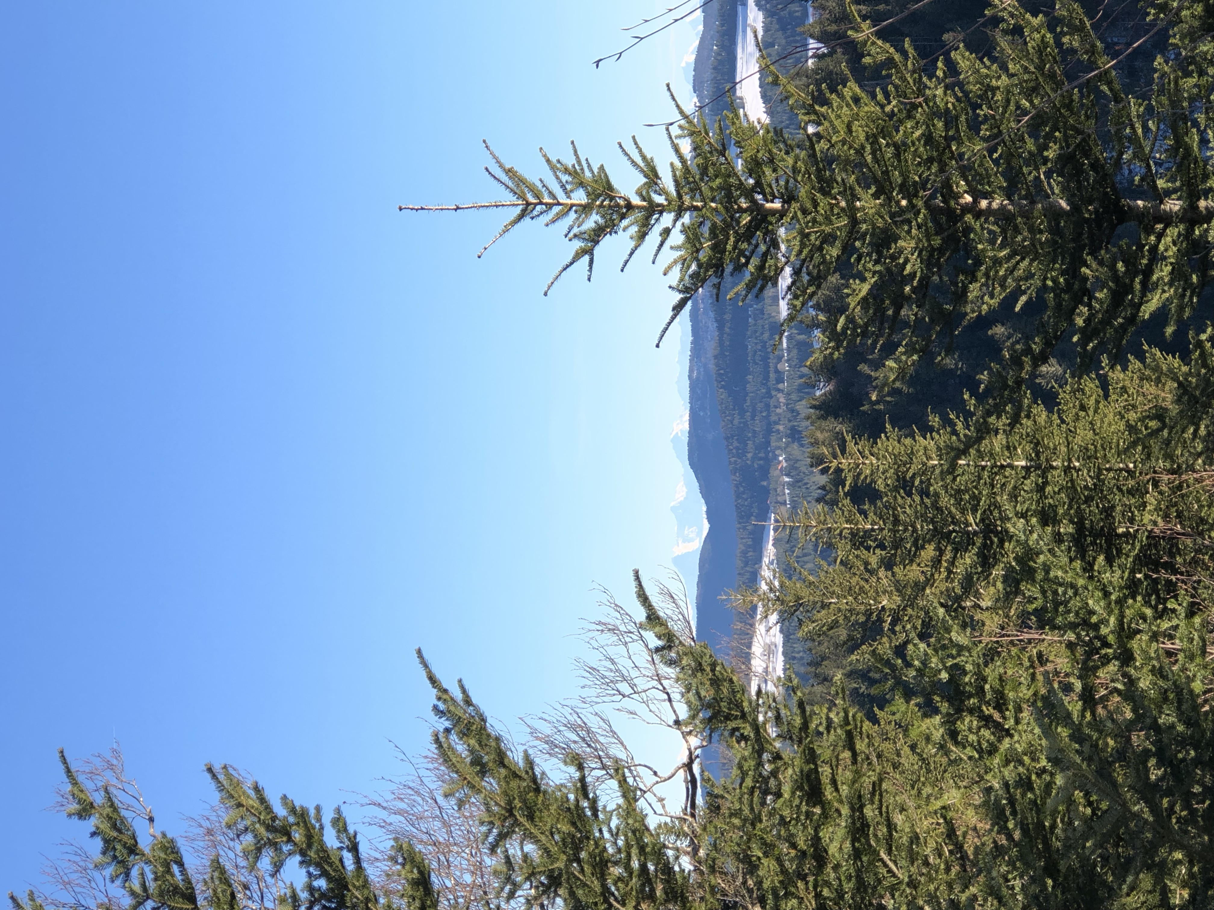 Paysage du Doubs - Vue sur les Alpes, Grand-Combe Chateleu